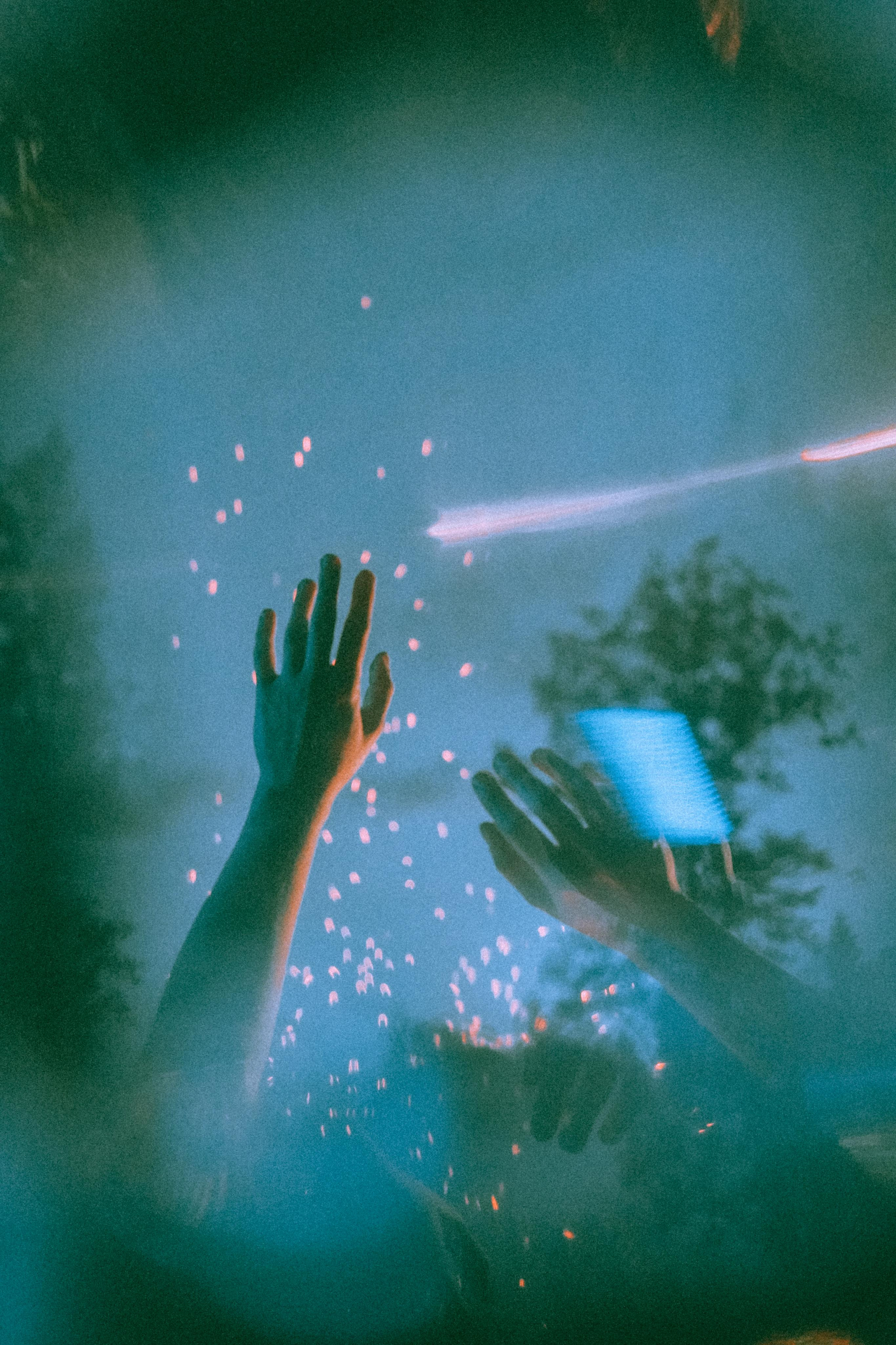 Остановленное стремление. Алиса Аницкая