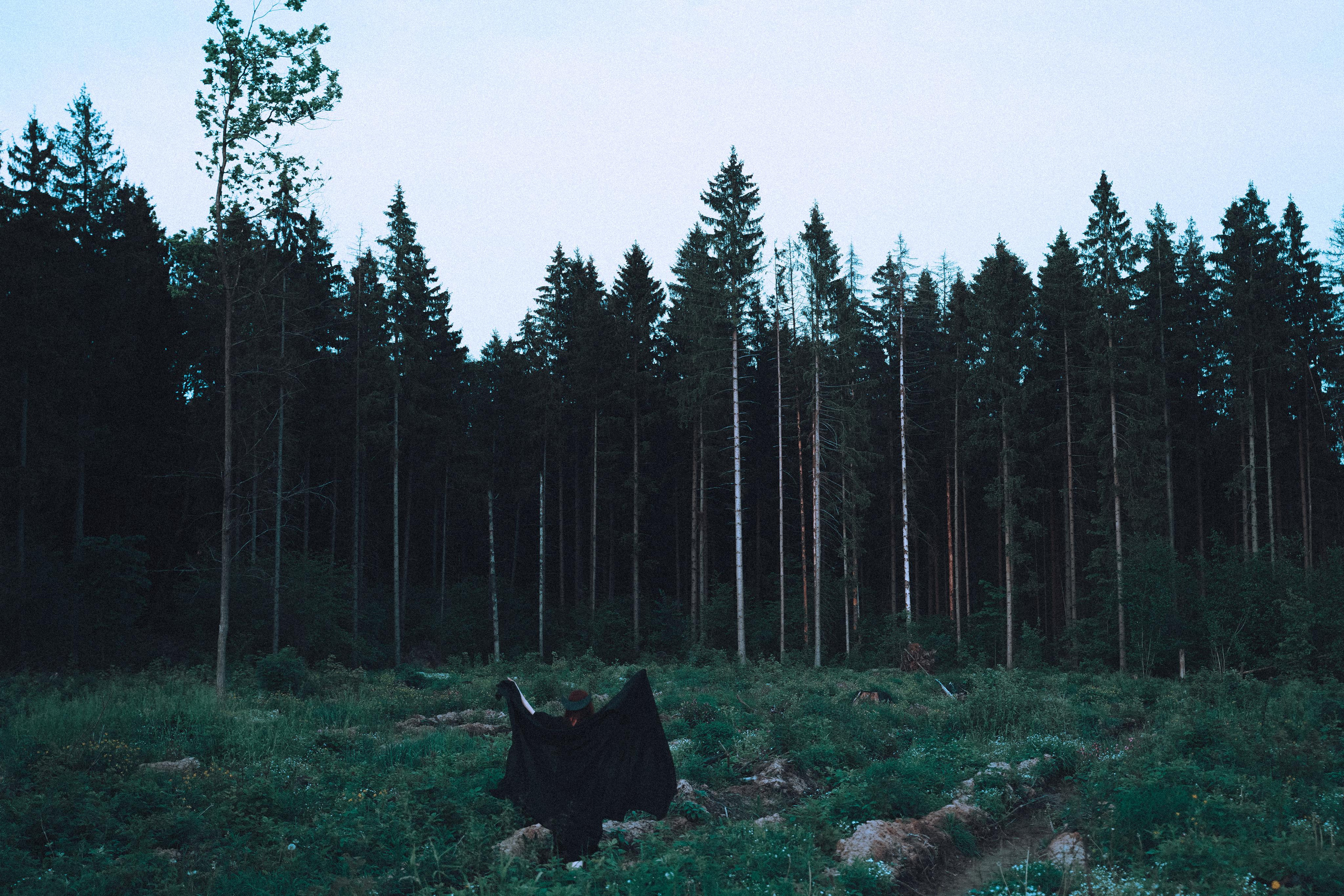 Остановленное стремление. Алиса Аницкая