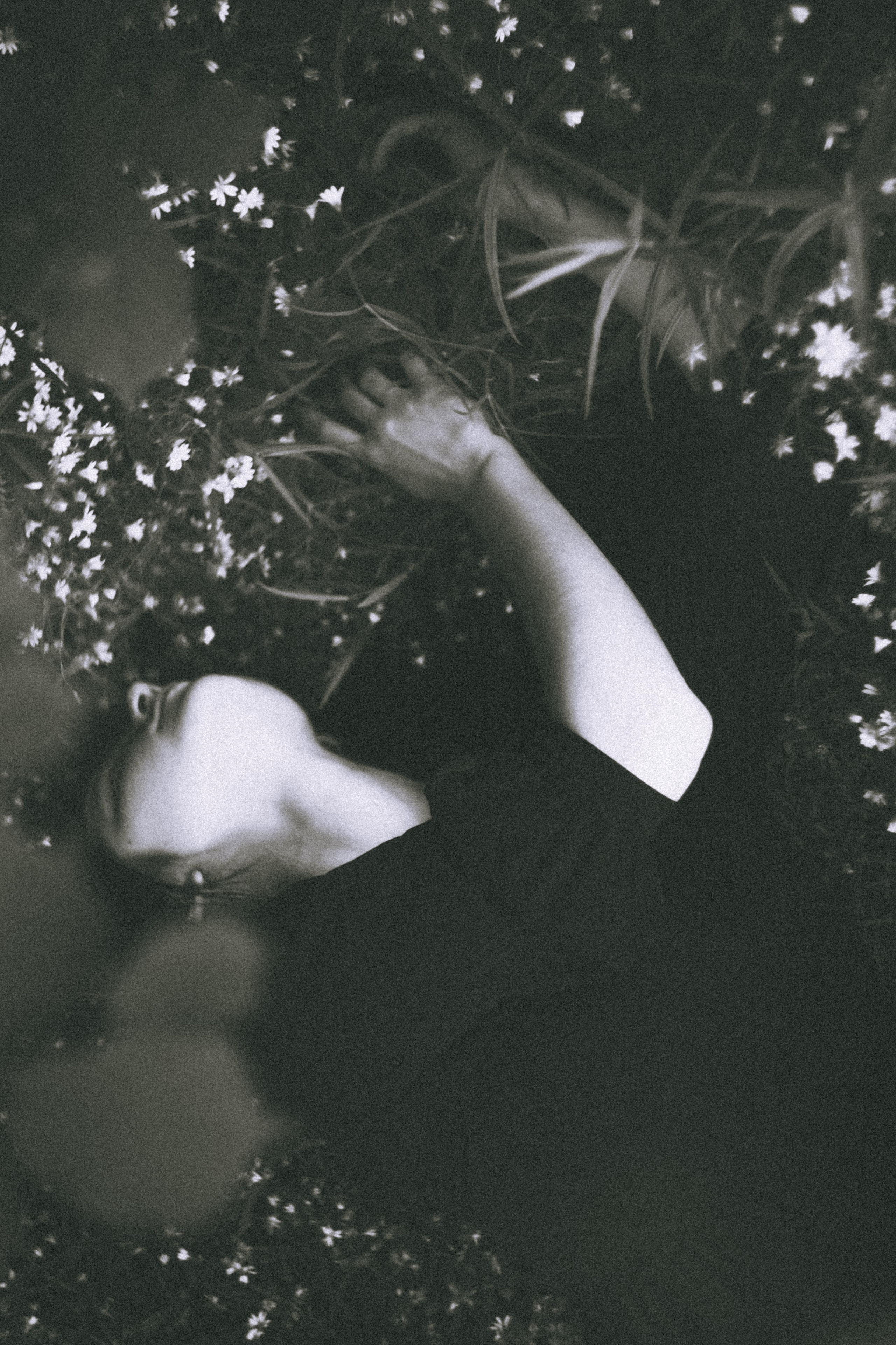 Остановленное стремление. Алиса Аницкая