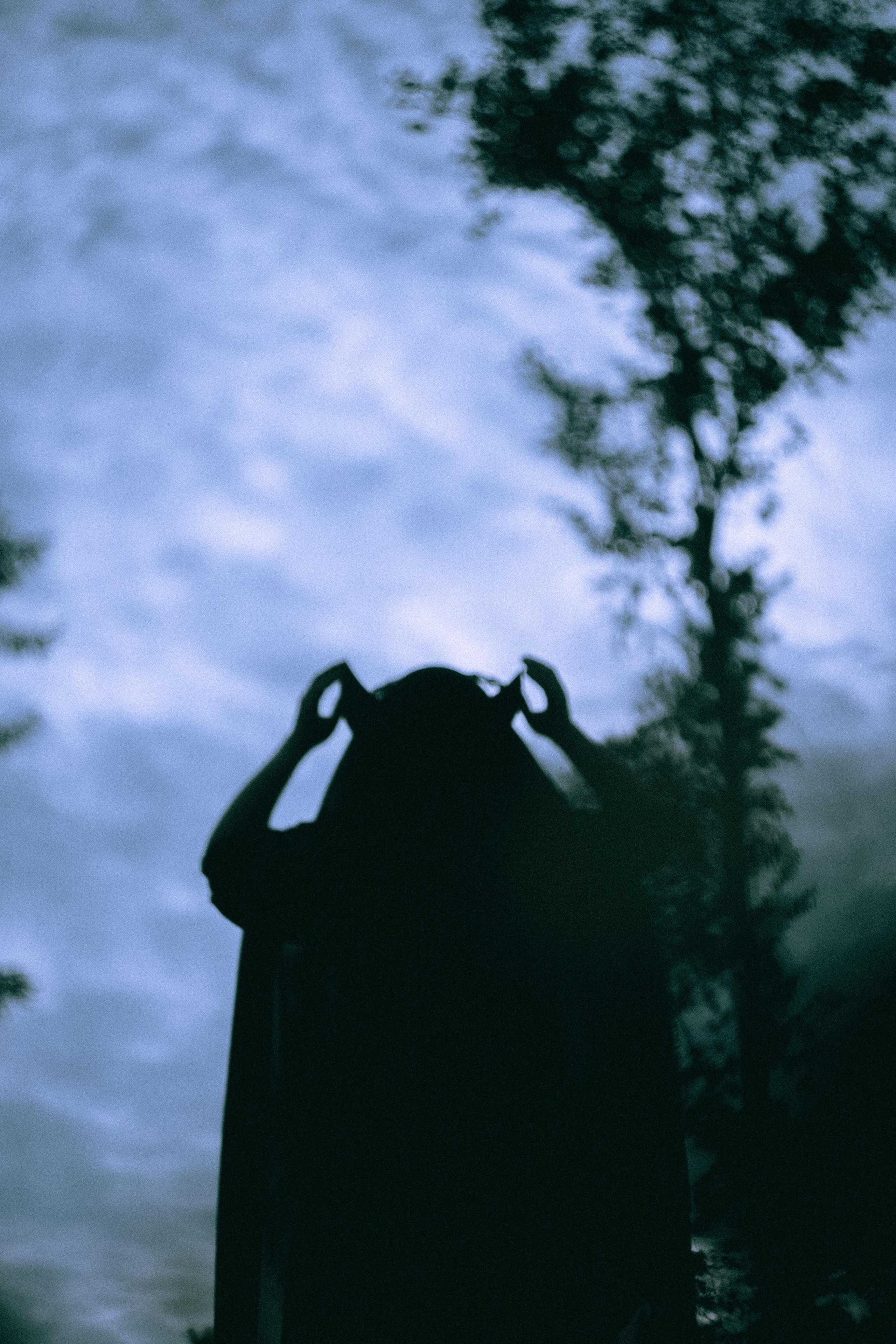 Остановленное стремление. Алиса Аницкая