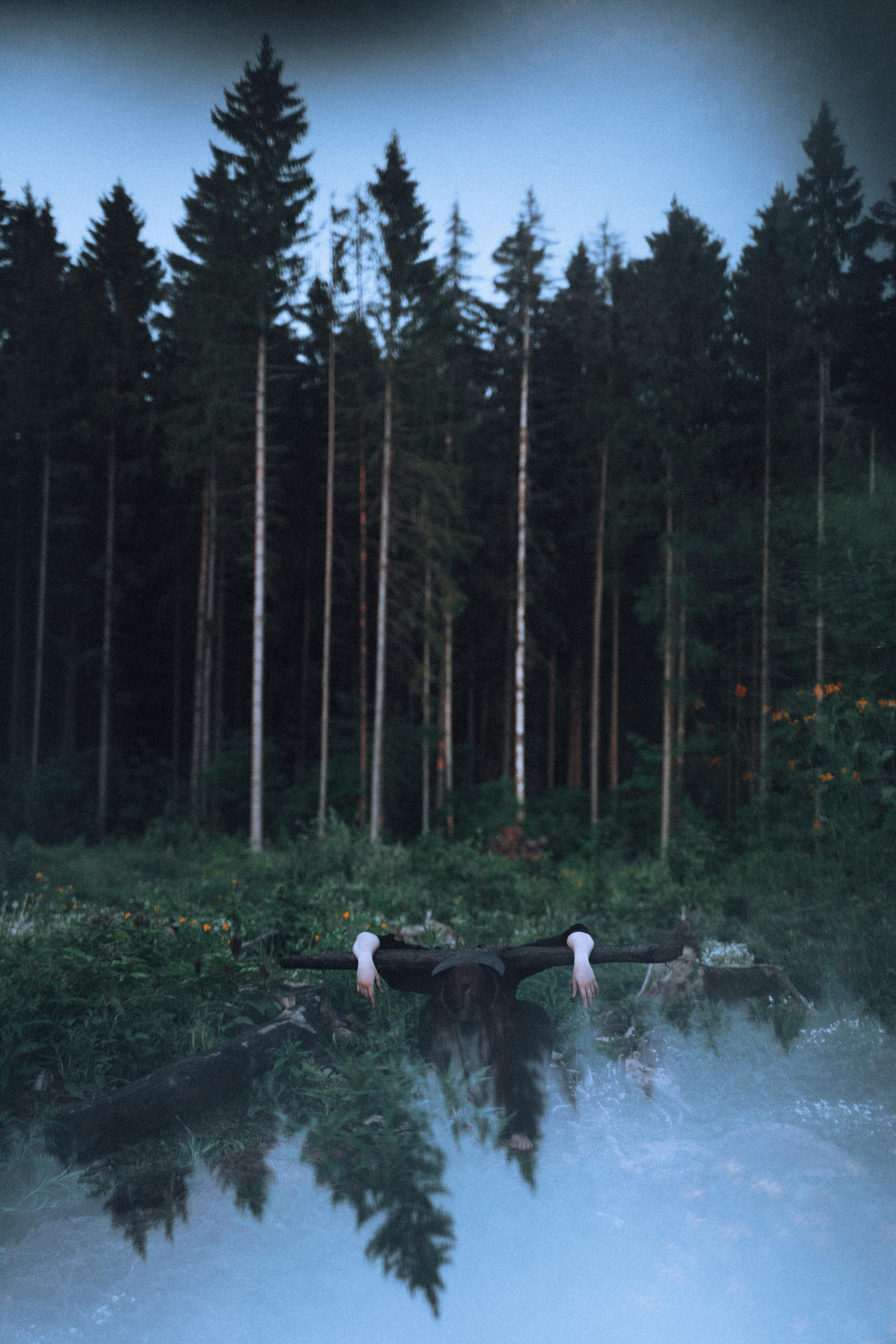 Остановленное стремление. Алиса Аницкая