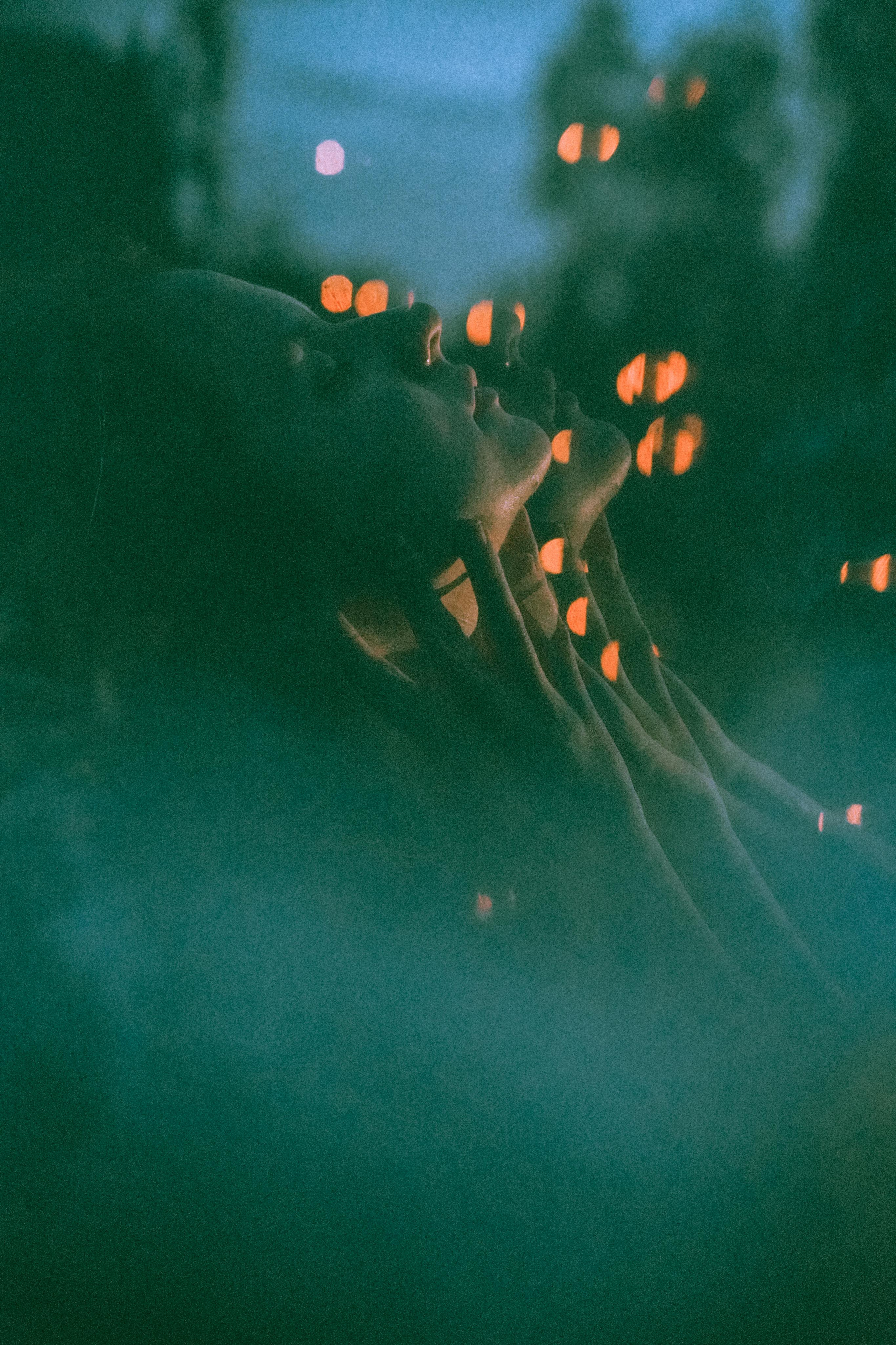 Остановленное стремление. Алиса Аницкая