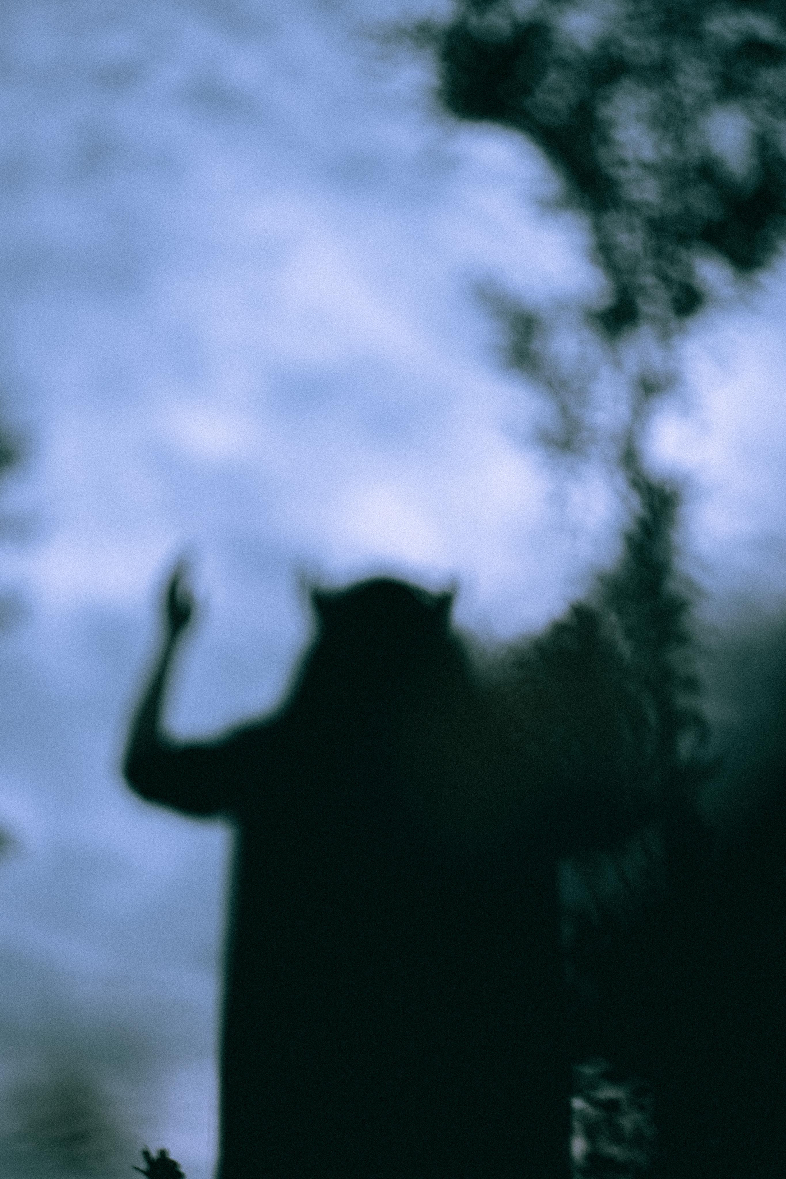 Остановленное стремление. Алиса Аницкая