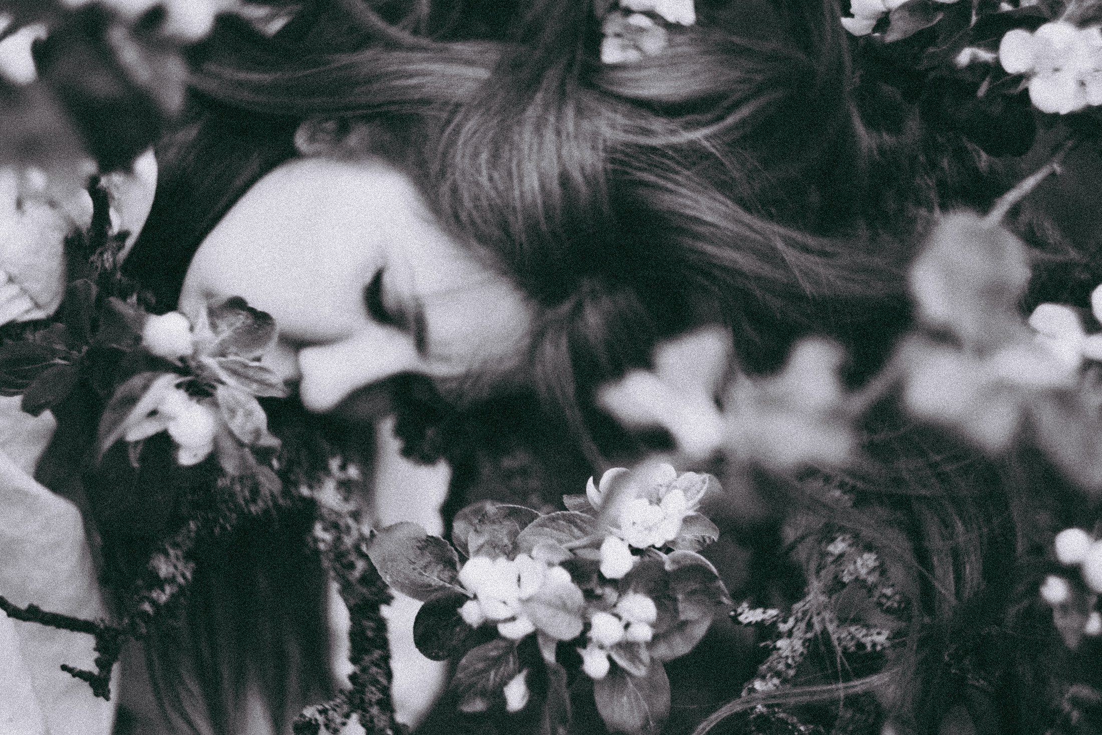 Яблони в весне. Алиса Аницкая