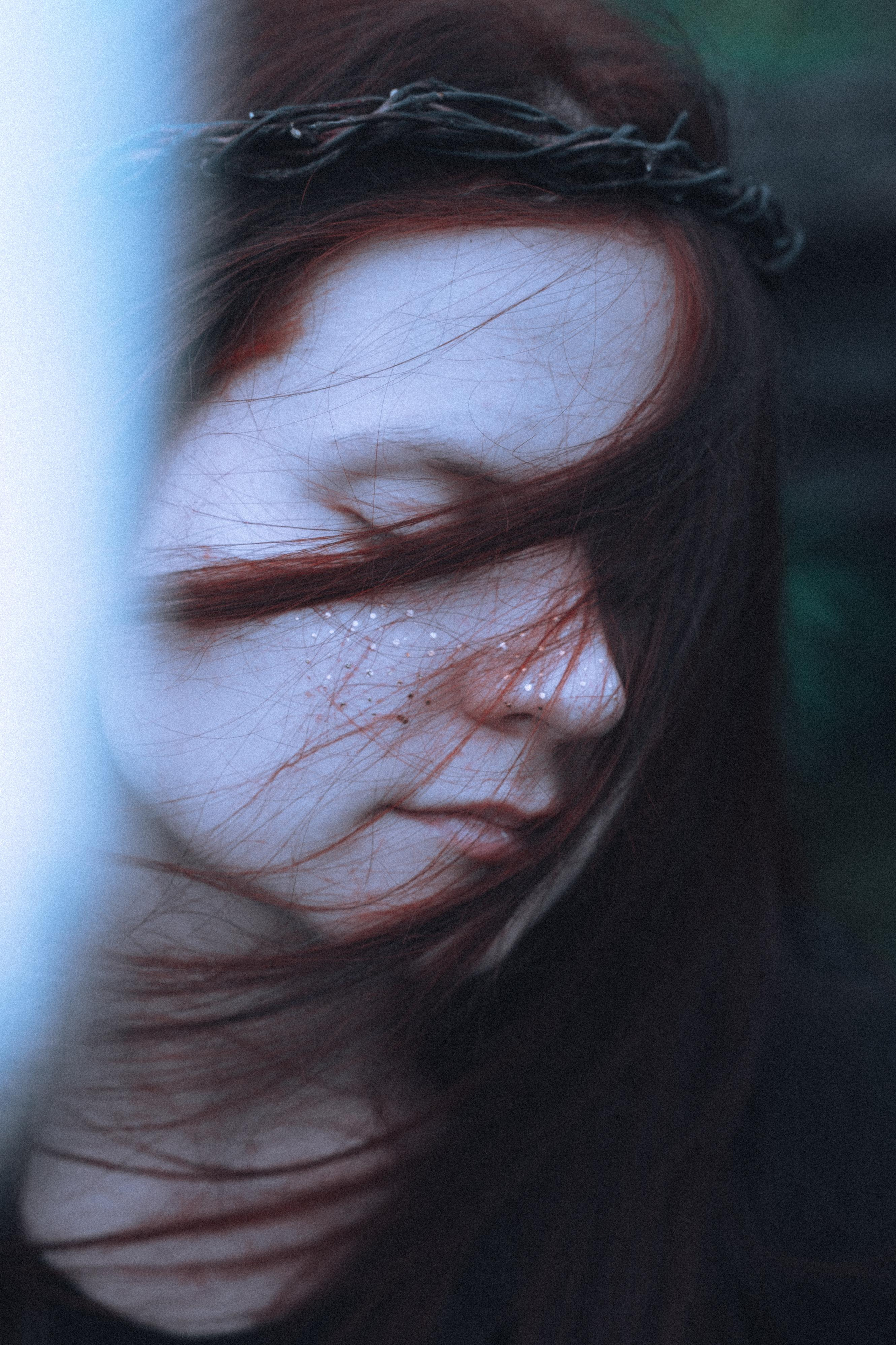 Остановленное стремление. Алиса Аницкая