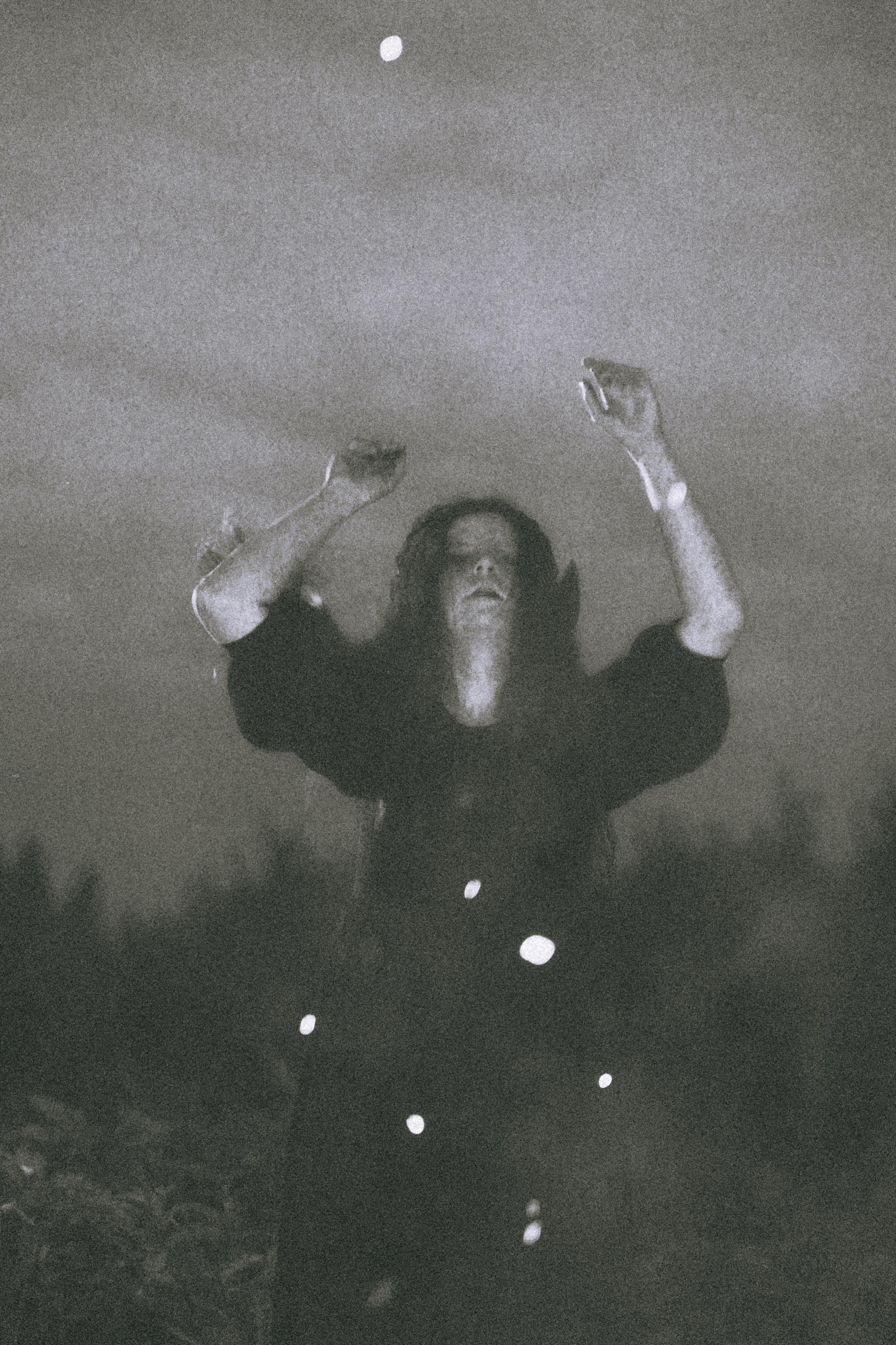 Остановленное стремление. Алиса Аницкая