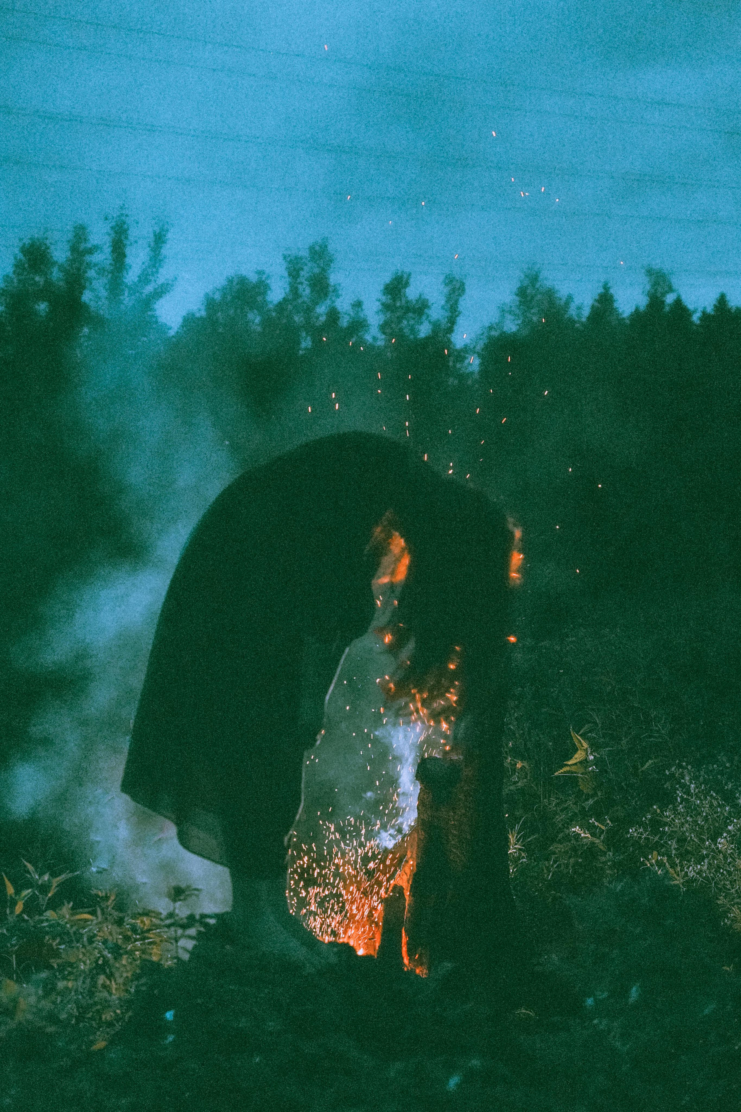 Остановленное стремление. Алиса Аницкая