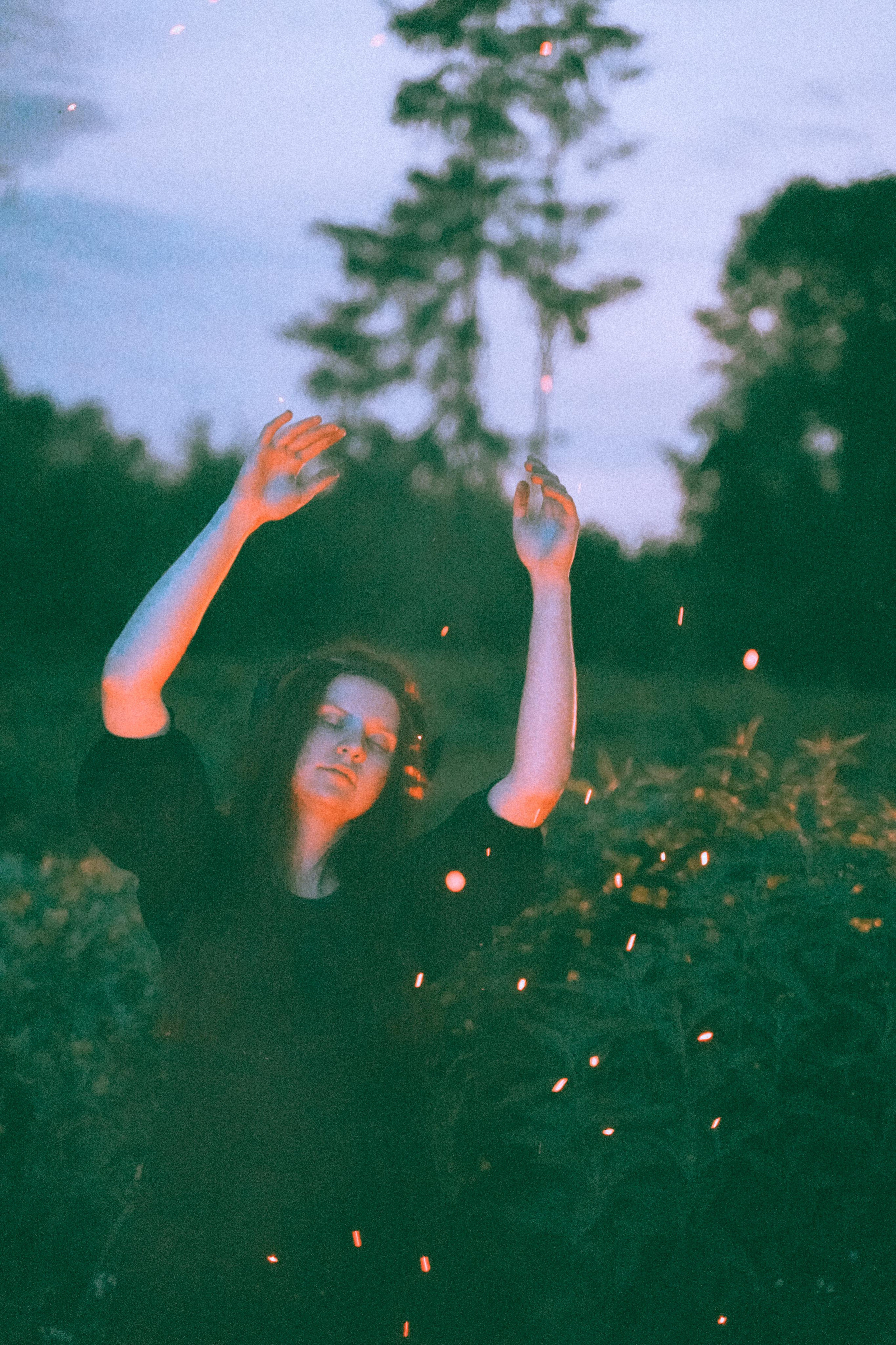 Остановленное стремление. Алиса Аницкая