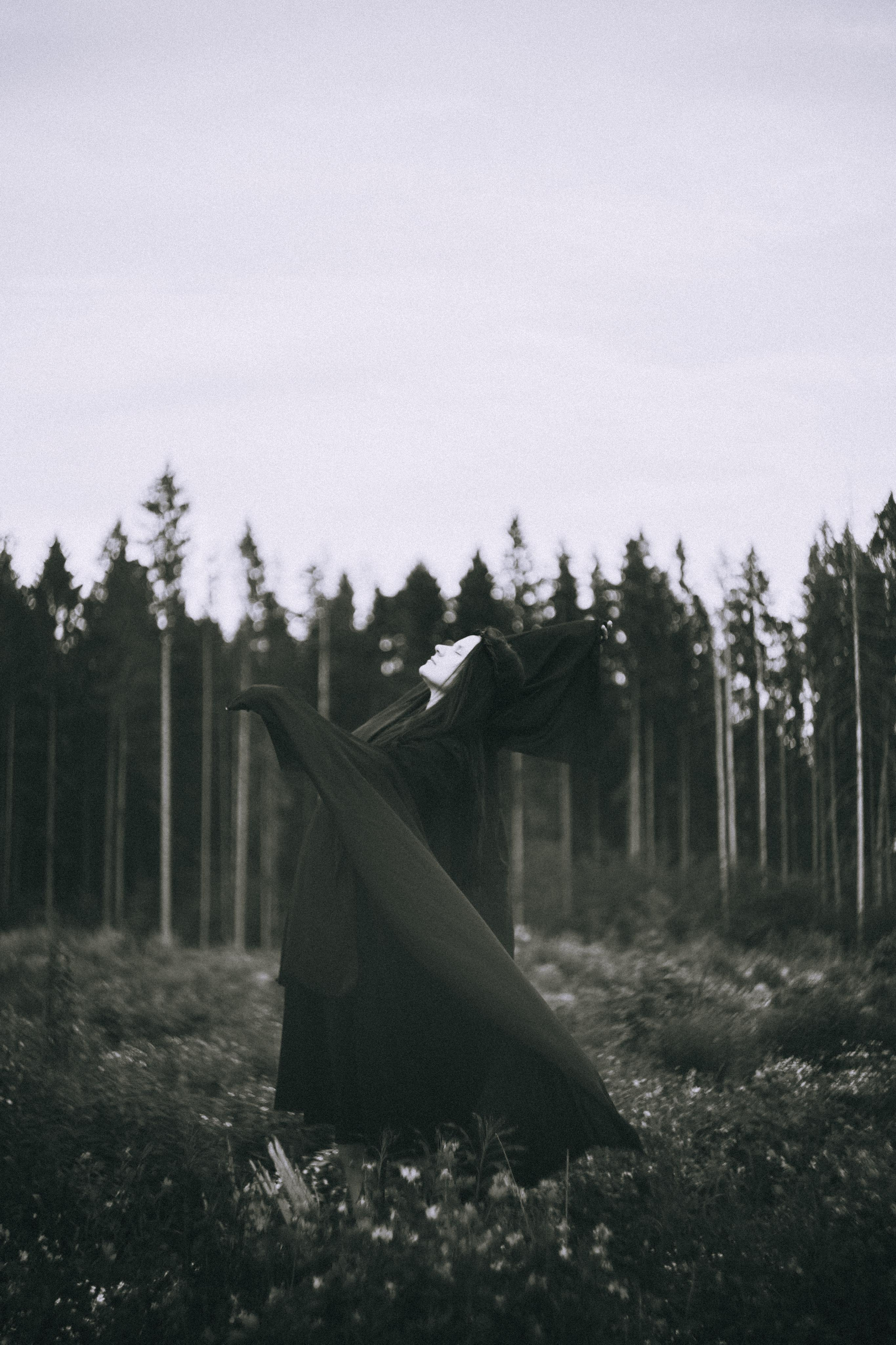 Остановленное стремление. Алиса Аницкая