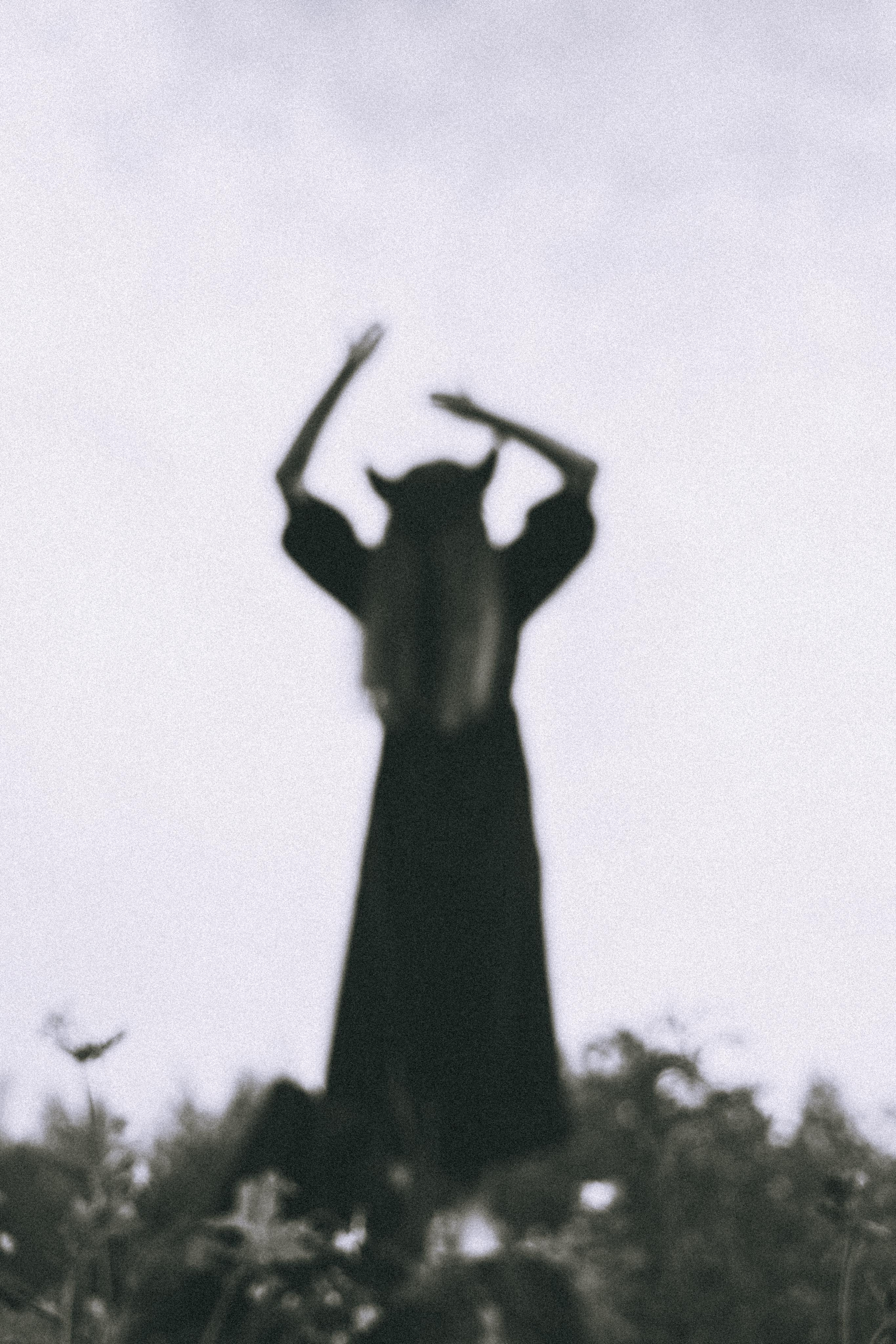 Остановленное стремление. Алиса Аницкая