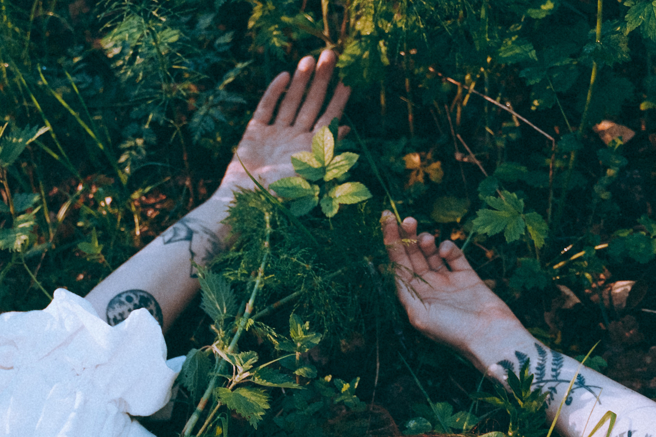 Яблони в весне. Алиса Аницкая