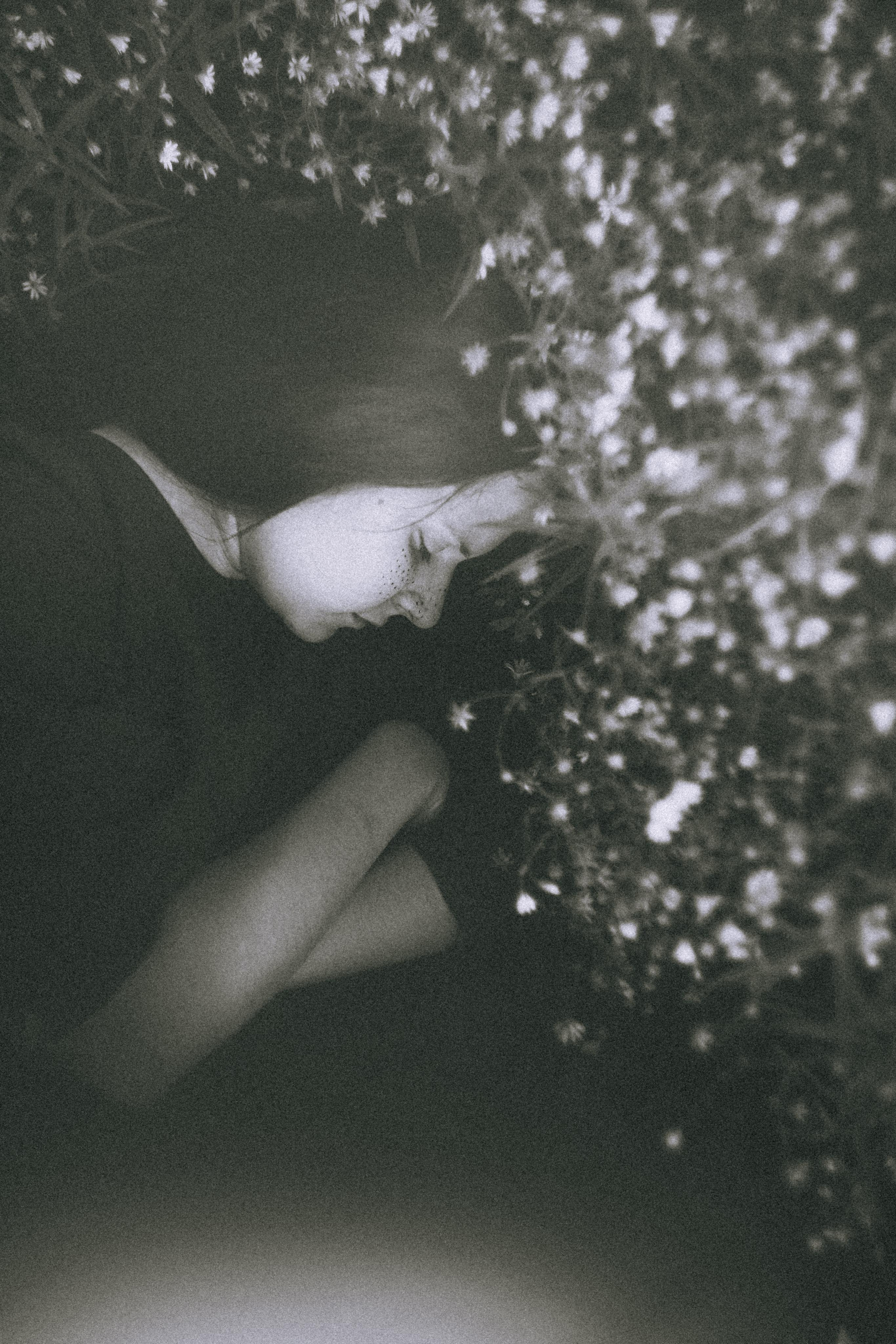 Остановленное стремление. Алиса Аницкая