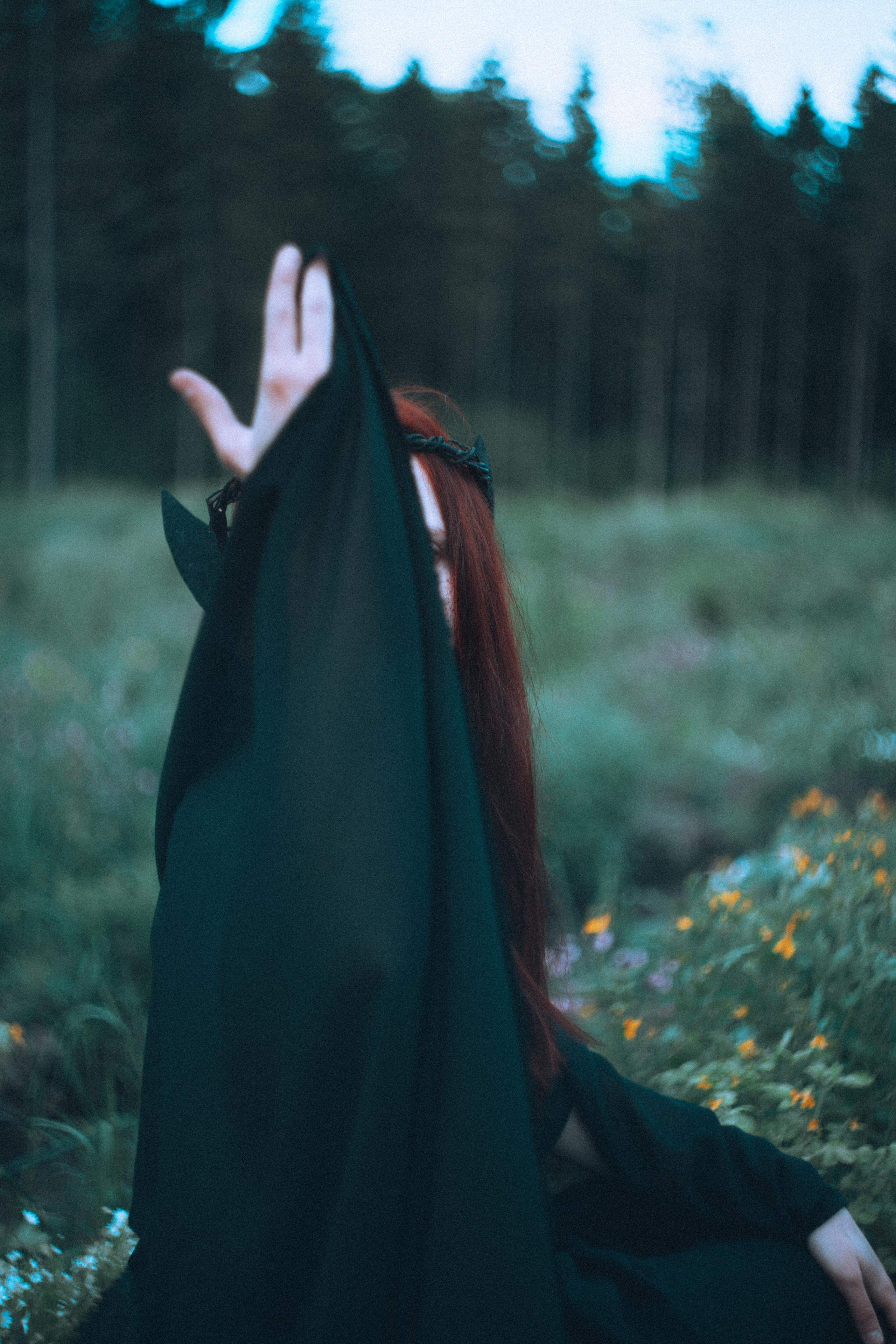 Остановленное стремление. Алиса Аницкая