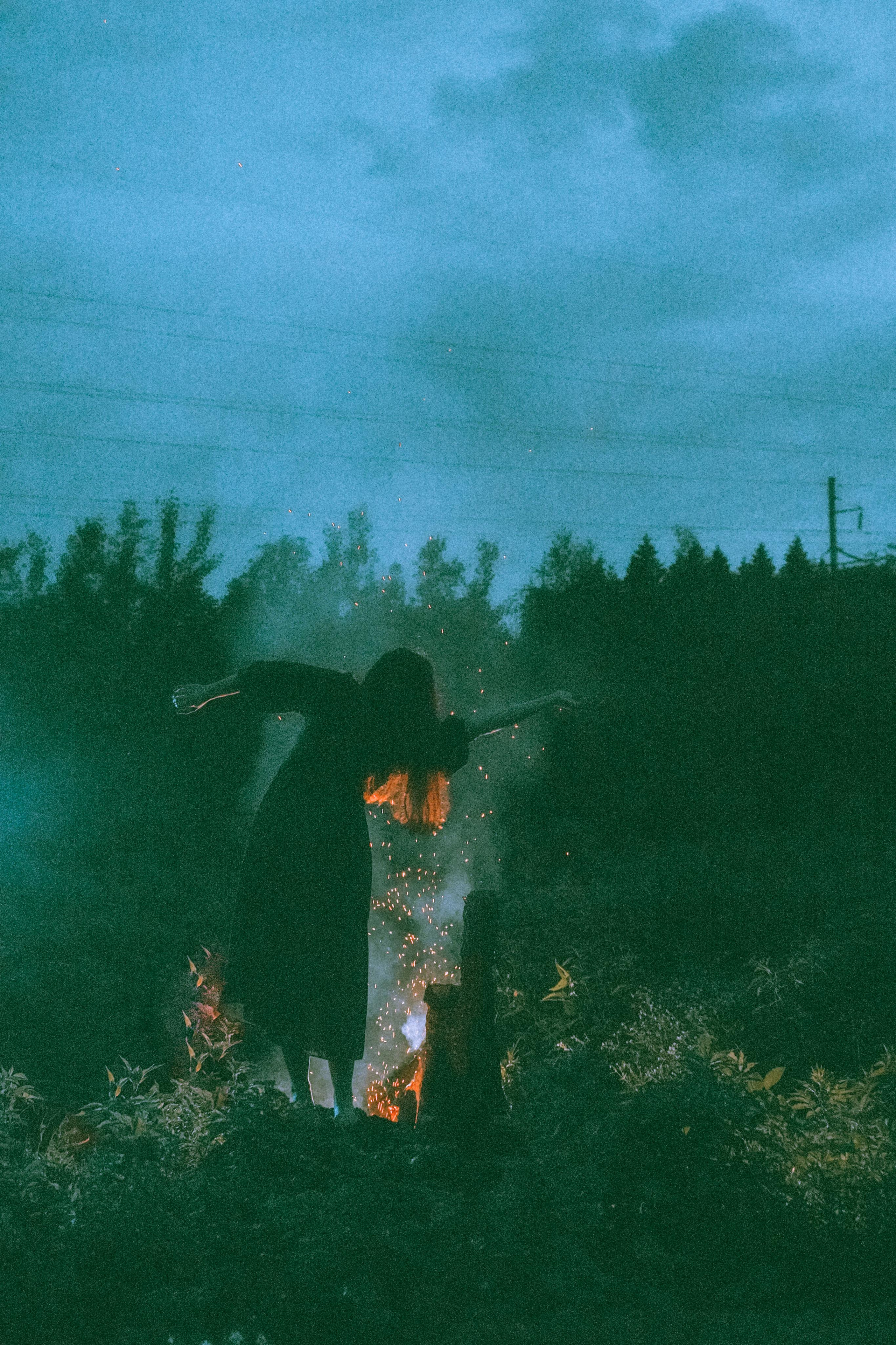 Остановленное стремление. Алиса Аницкая