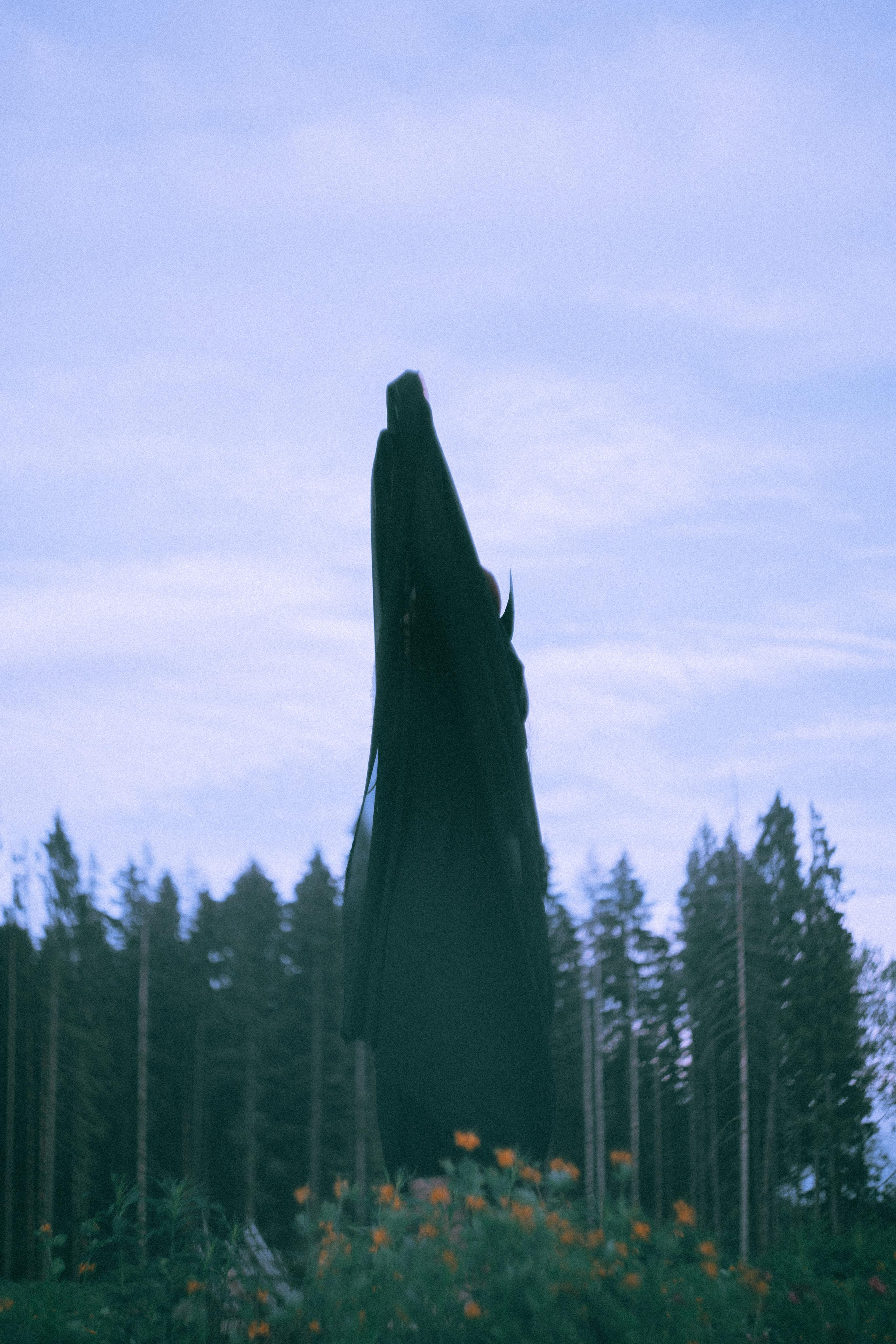 Остановленное стремление. Алиса Аницкая