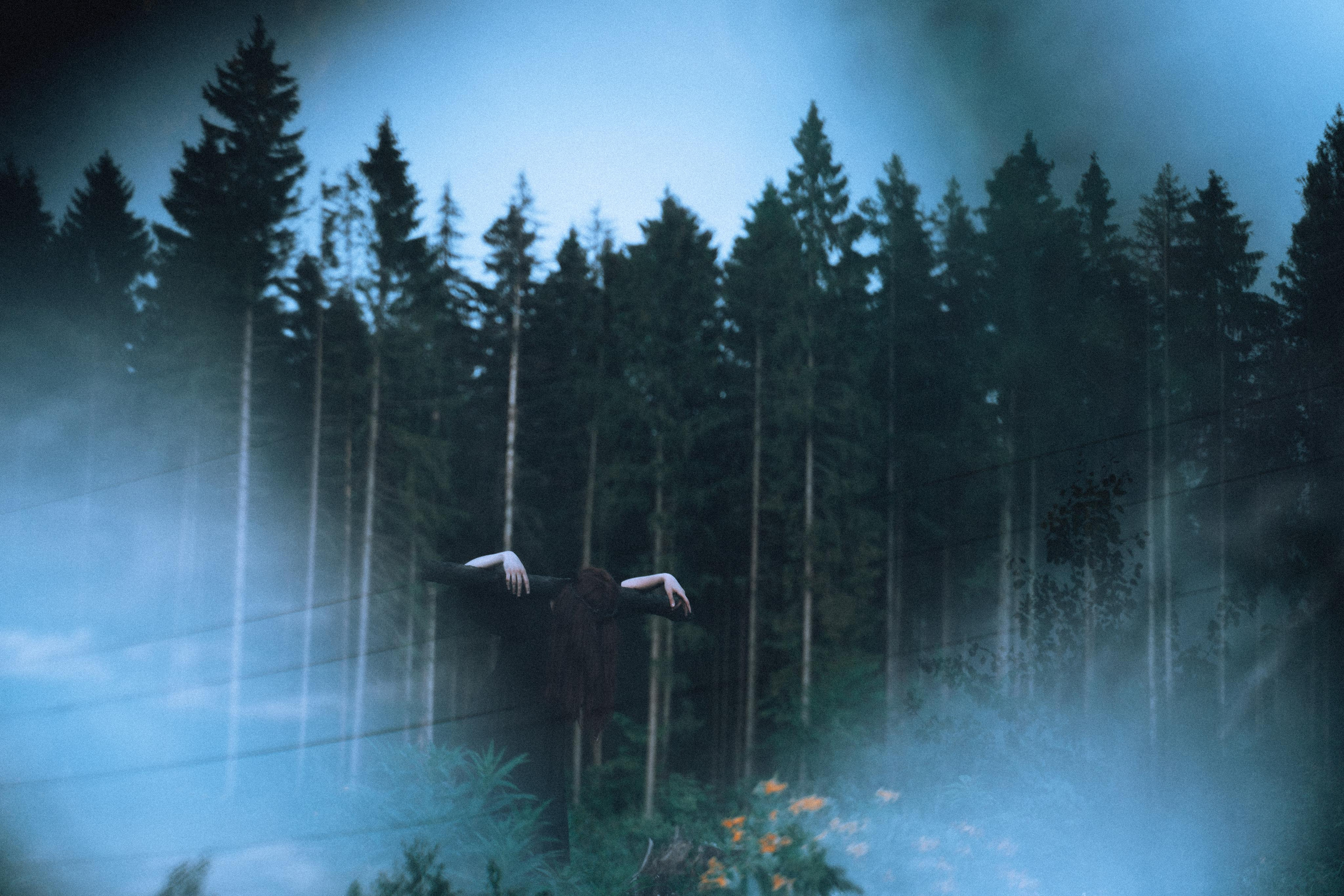 Остановленное стремление. Алиса Аницкая