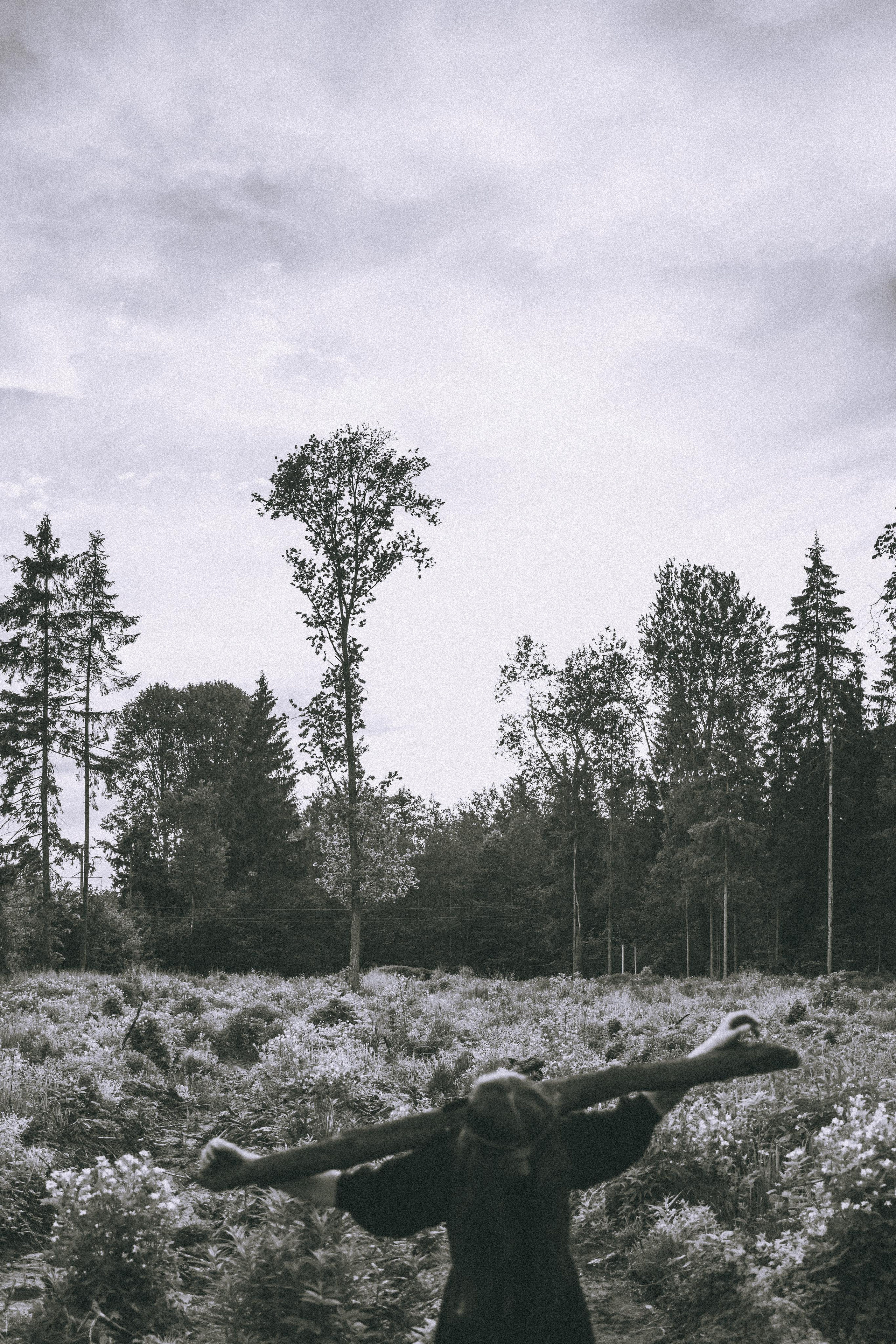 Остановленное стремление. Алиса Аницкая