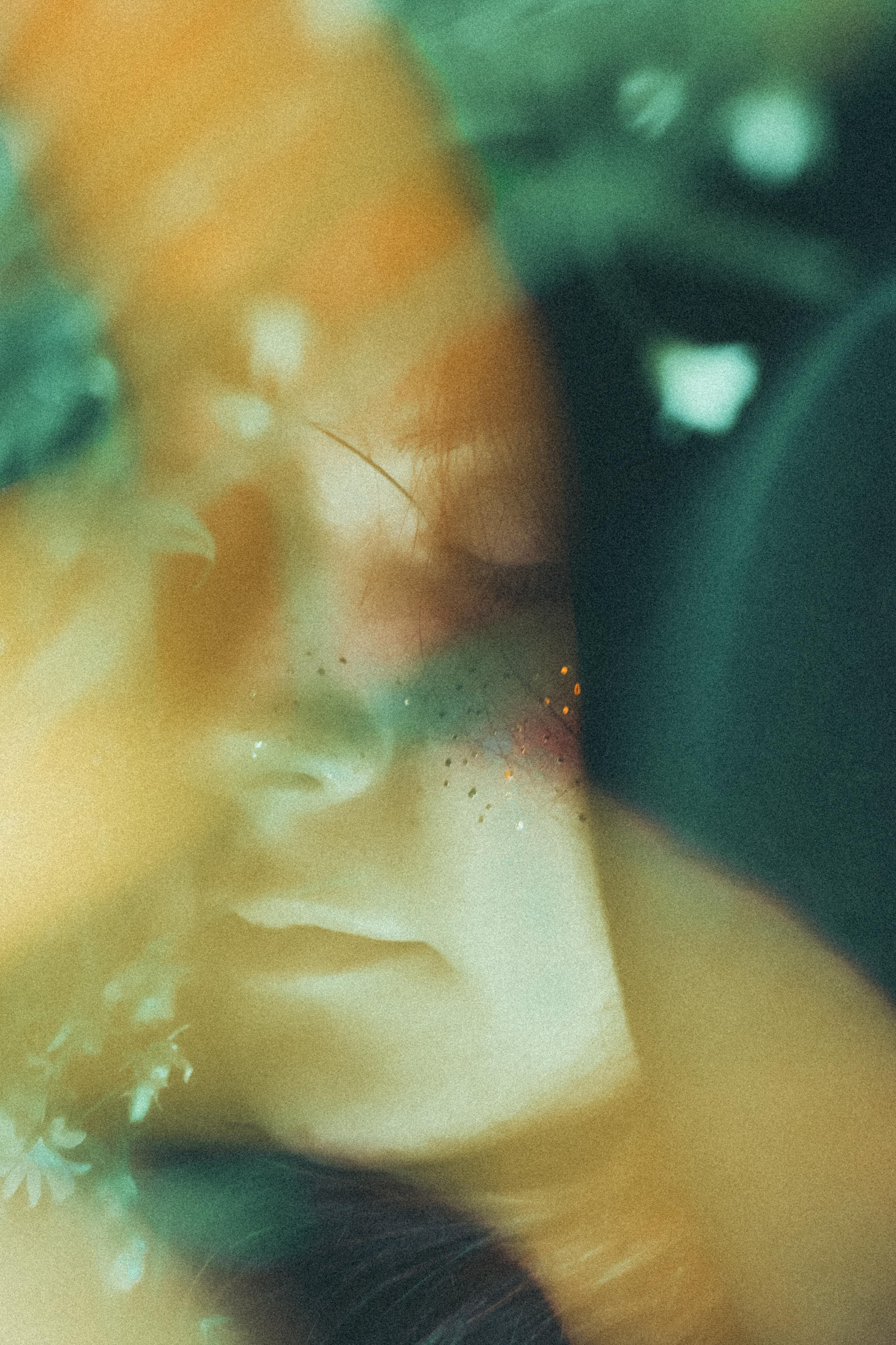 Остановленное стремление. Алиса Аницкая