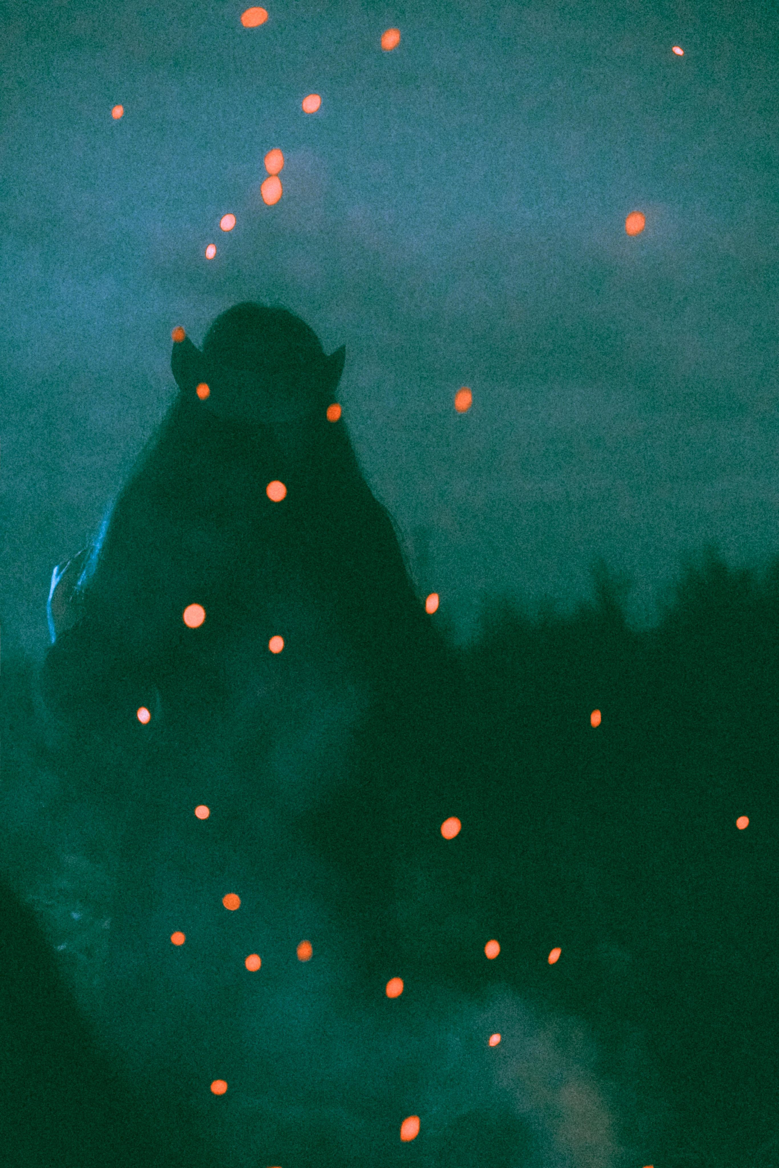 Остановленное стремление. Алиса Аницкая