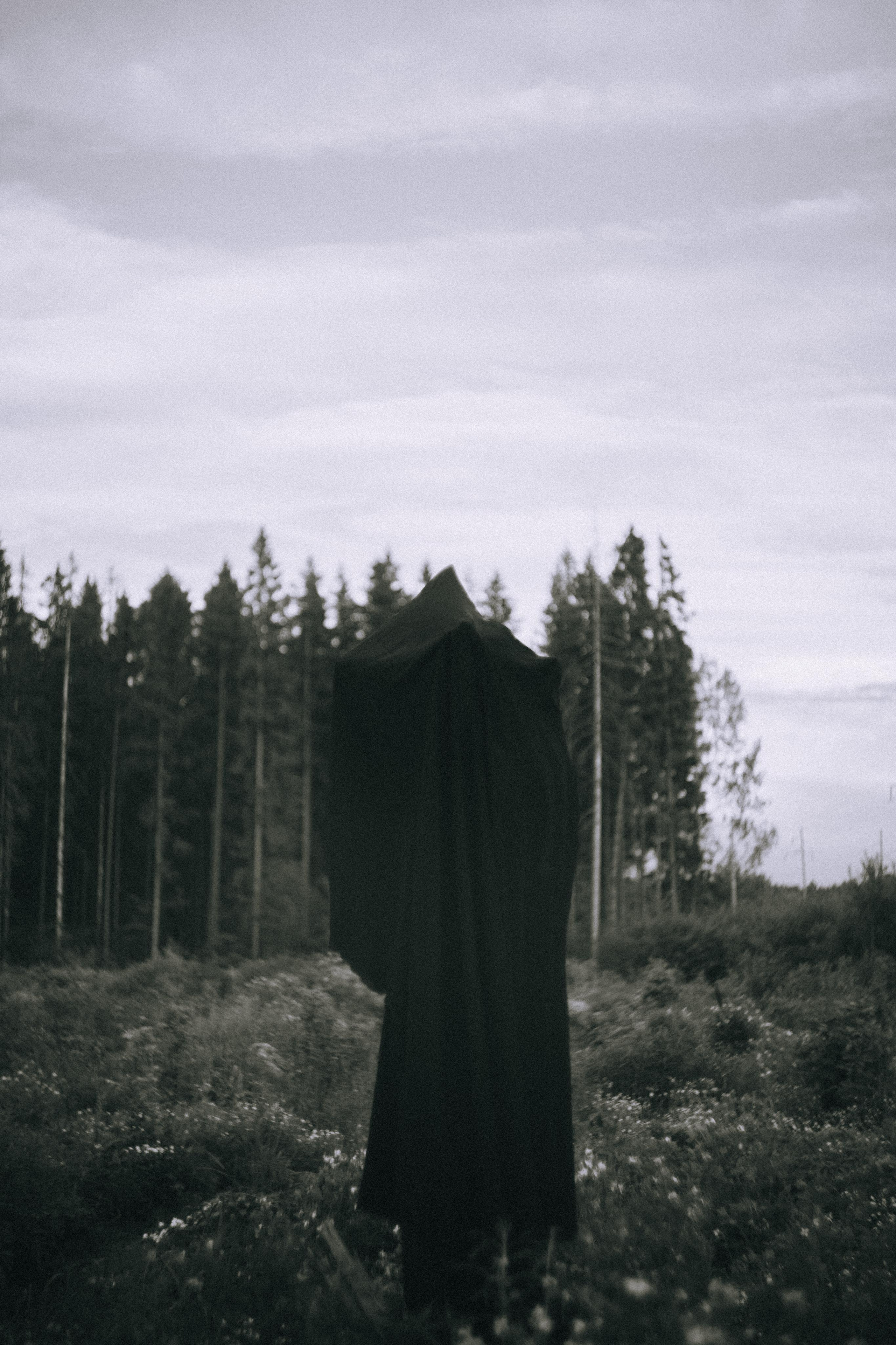 Остановленное стремление. Алиса Аницкая