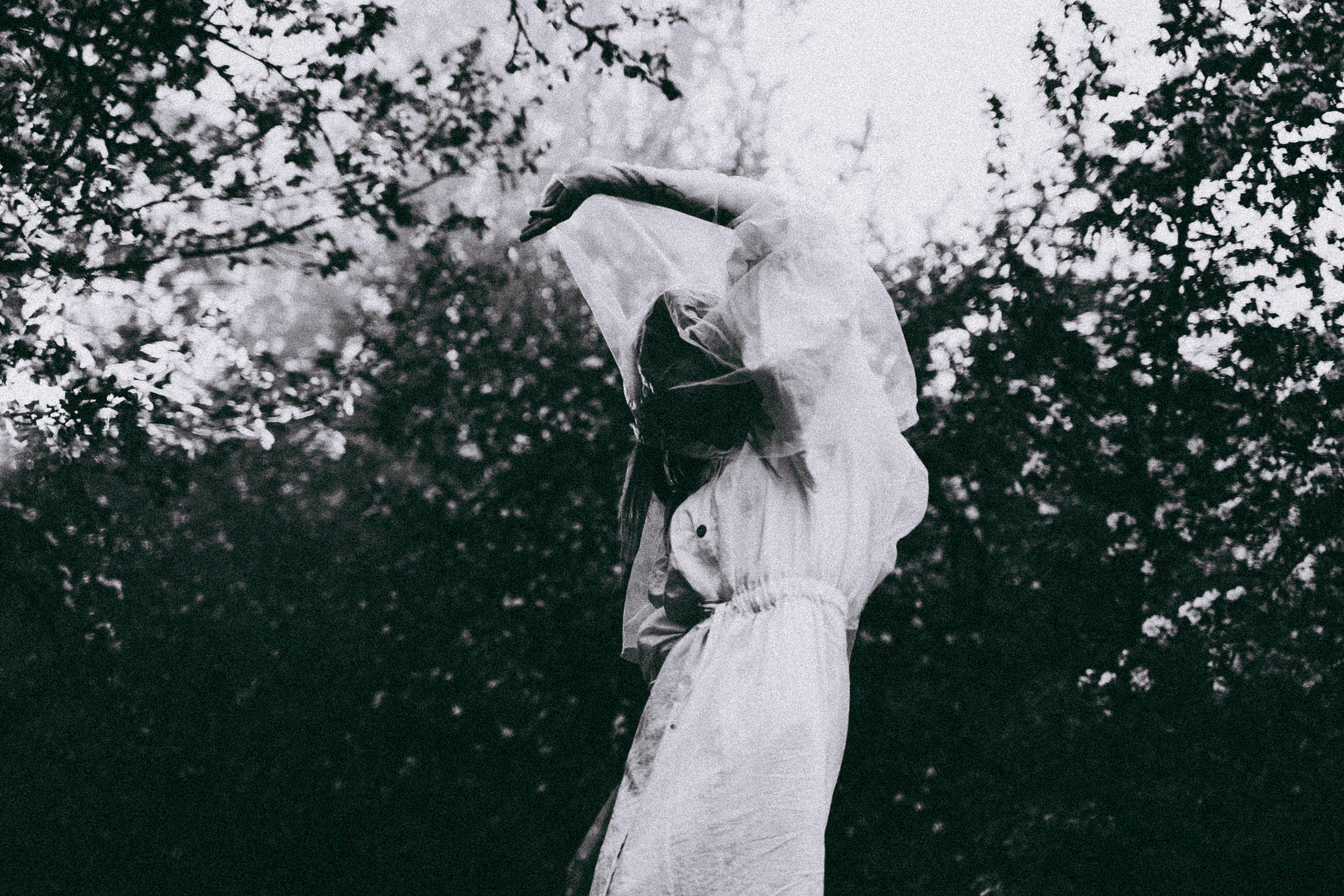 Яблони в весне. Алиса Аницкая