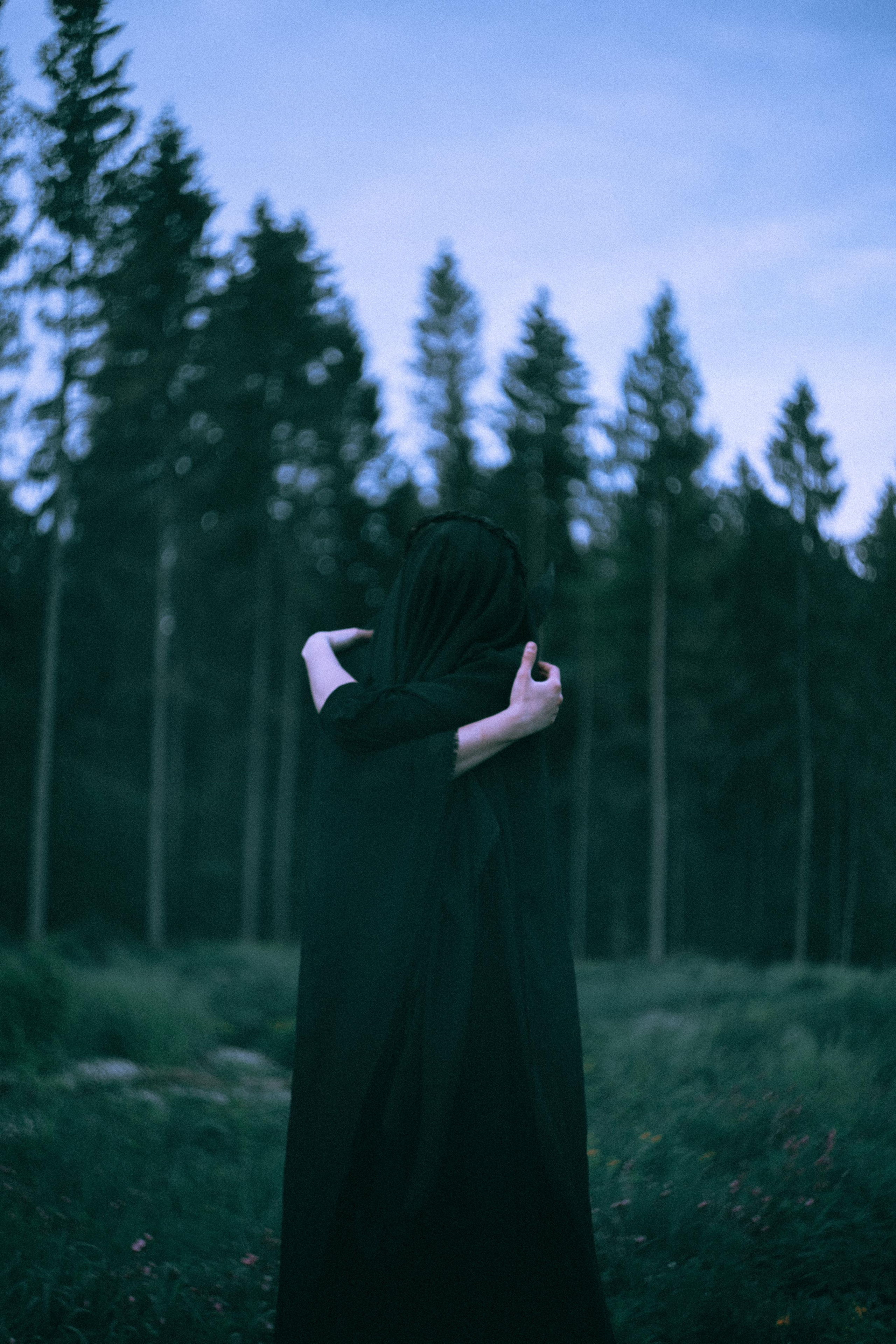 Остановленное стремление. Алиса Аницкая