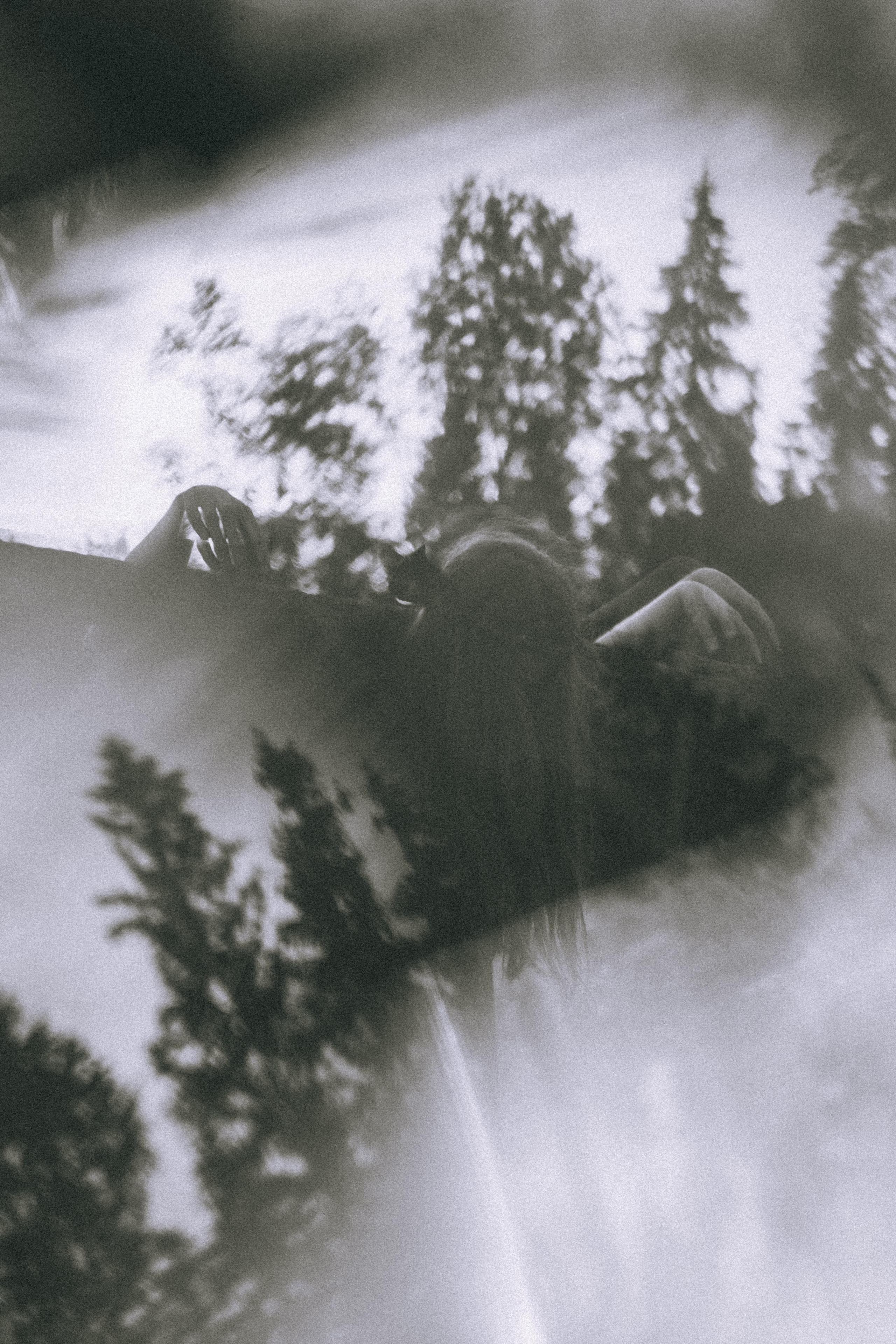 Остановленное стремление. Алиса Аницкая