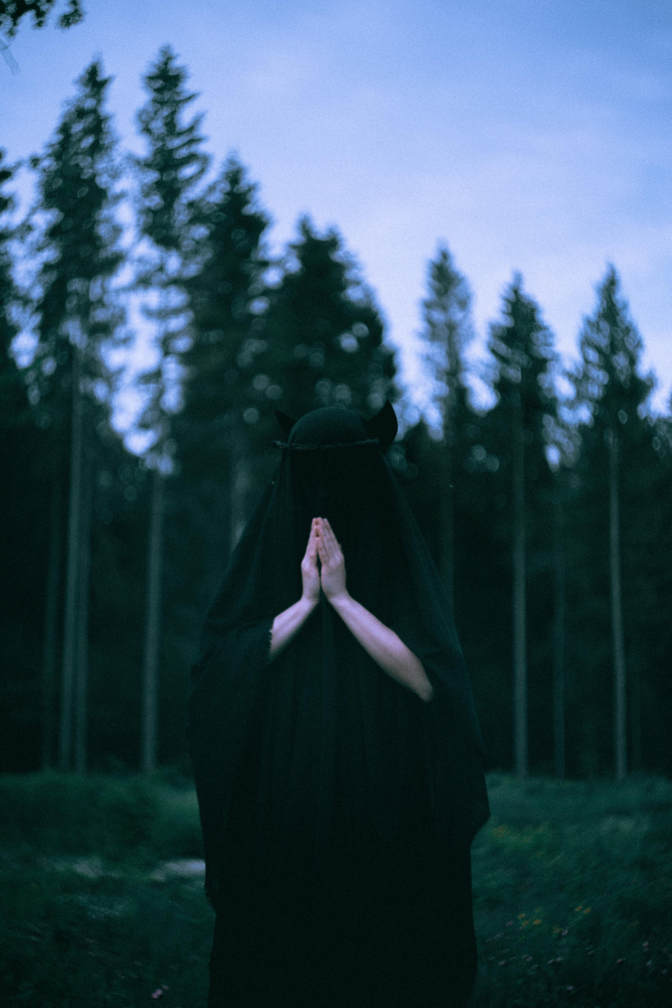 Остановленное стремление. Алиса Аницкая