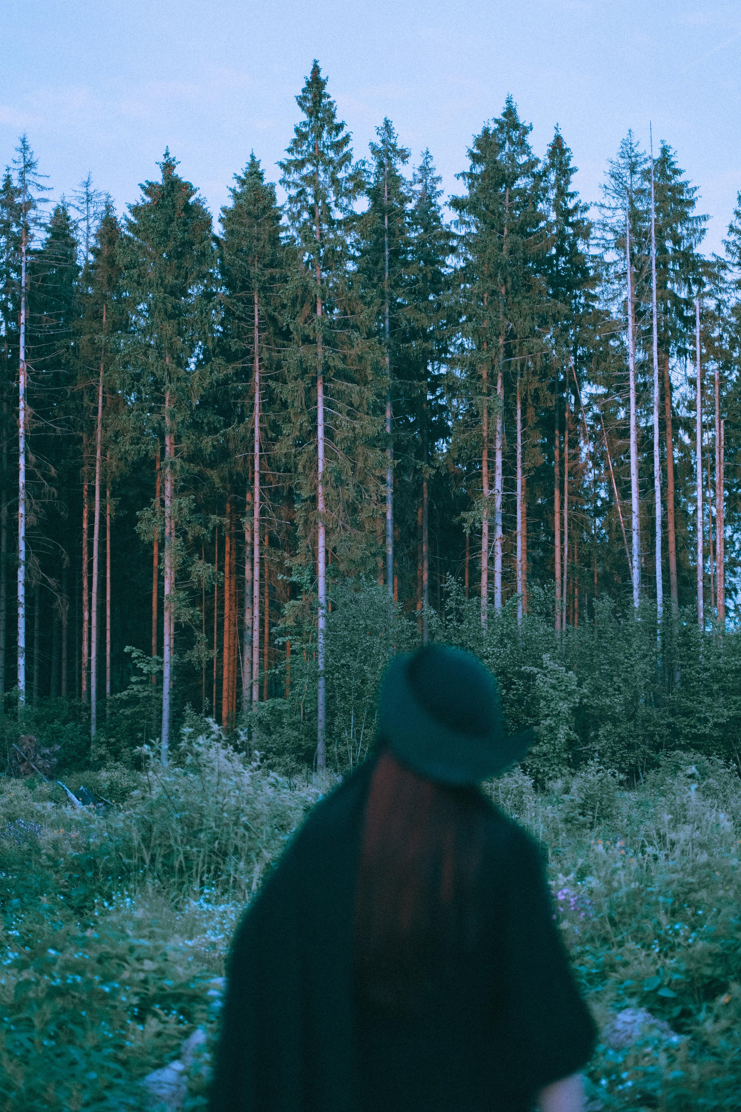 Остановленное стремление. Алиса Аницкая