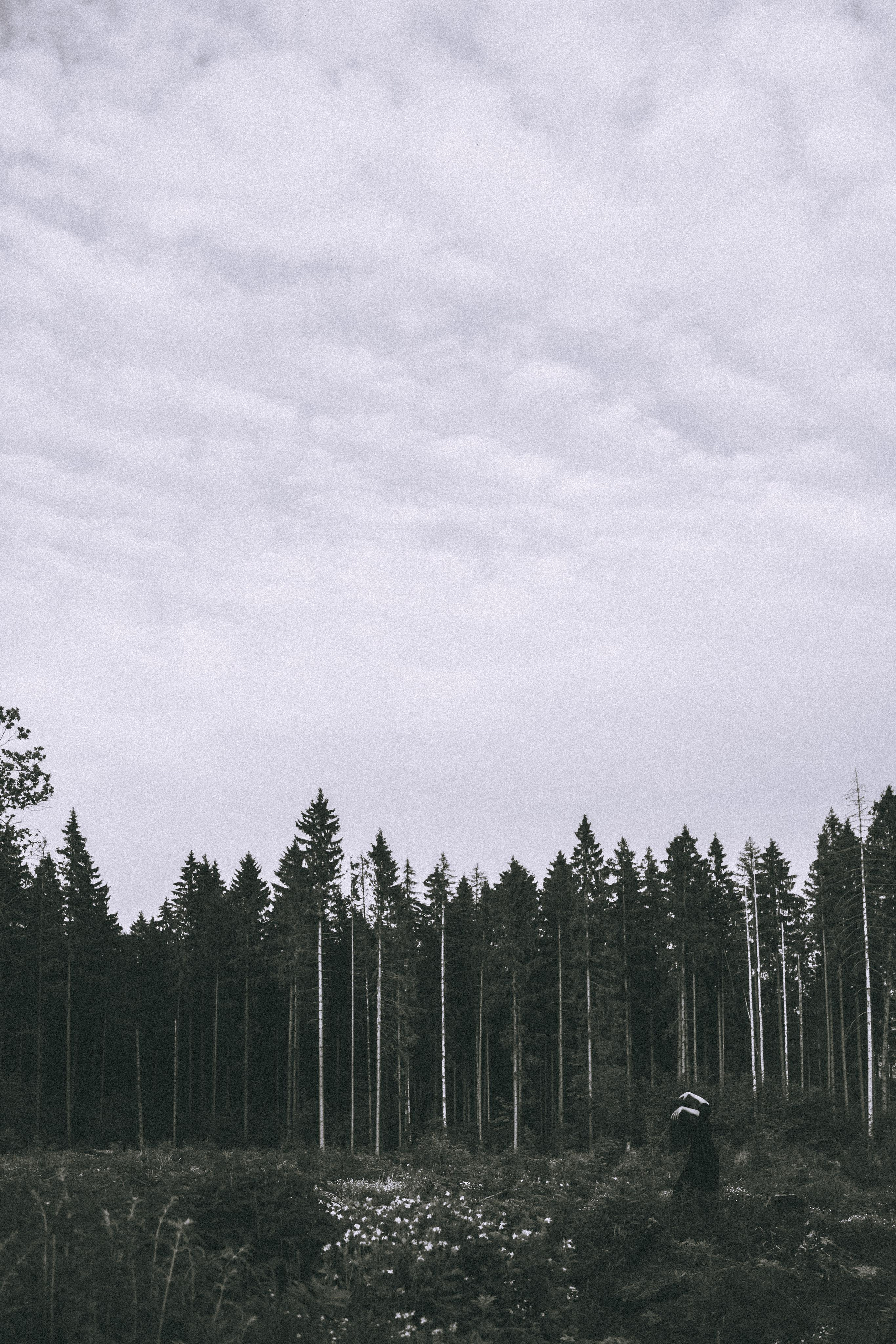 Остановленное стремление. Алиса Аницкая