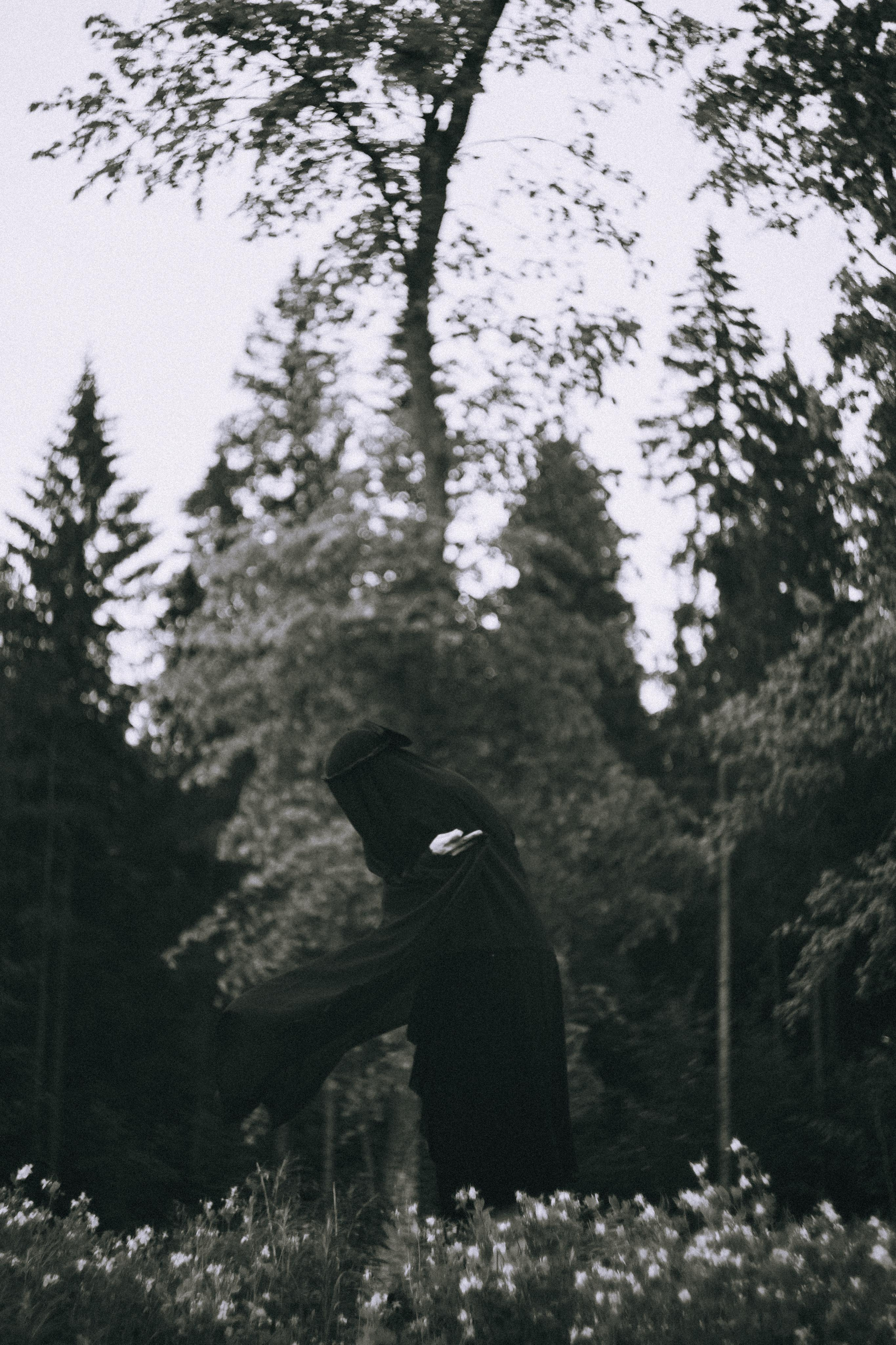 Остановленное стремление. Алиса Аницкая