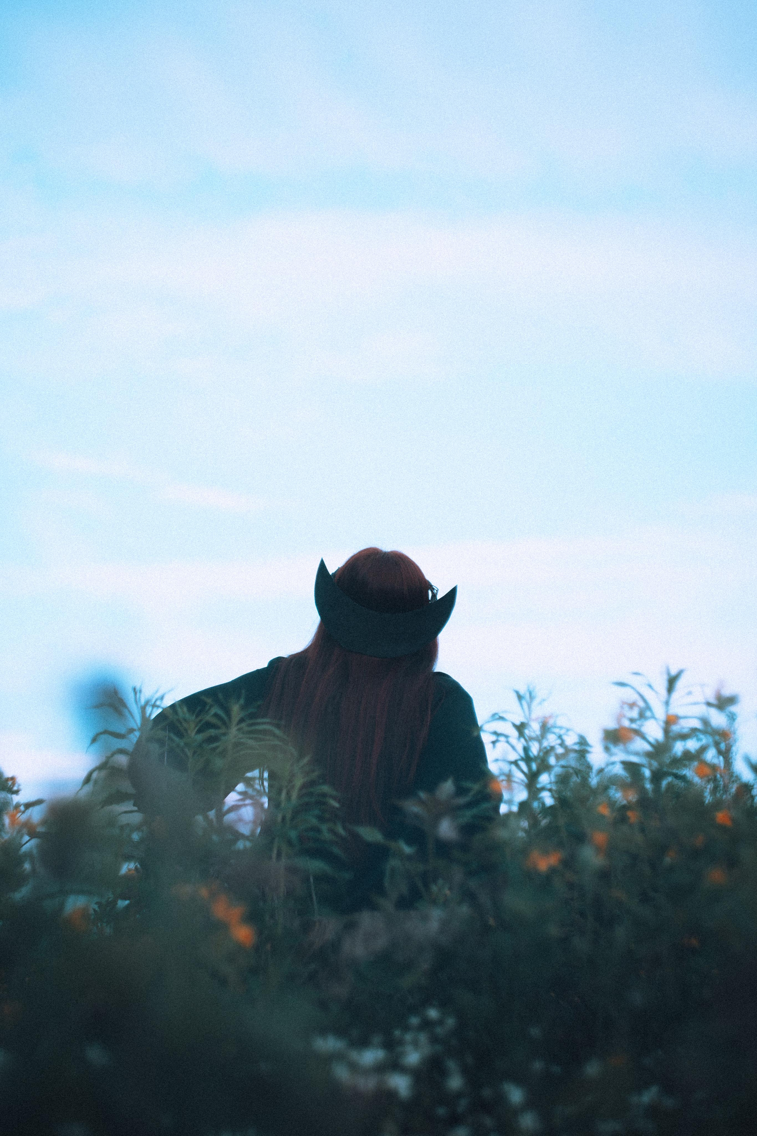 Остановленное стремление. Алиса Аницкая