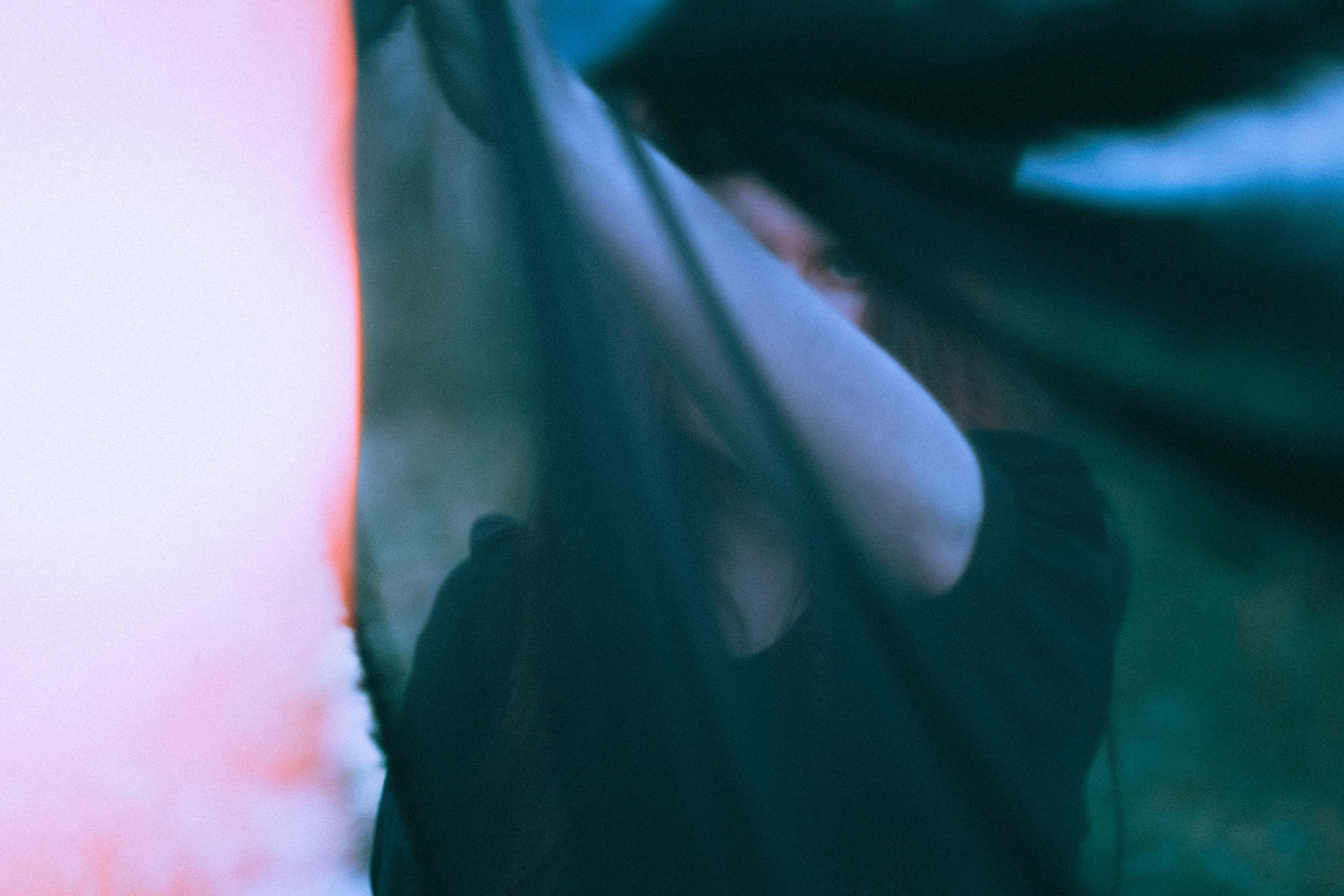 Остановленное стремление. Алиса Аницкая