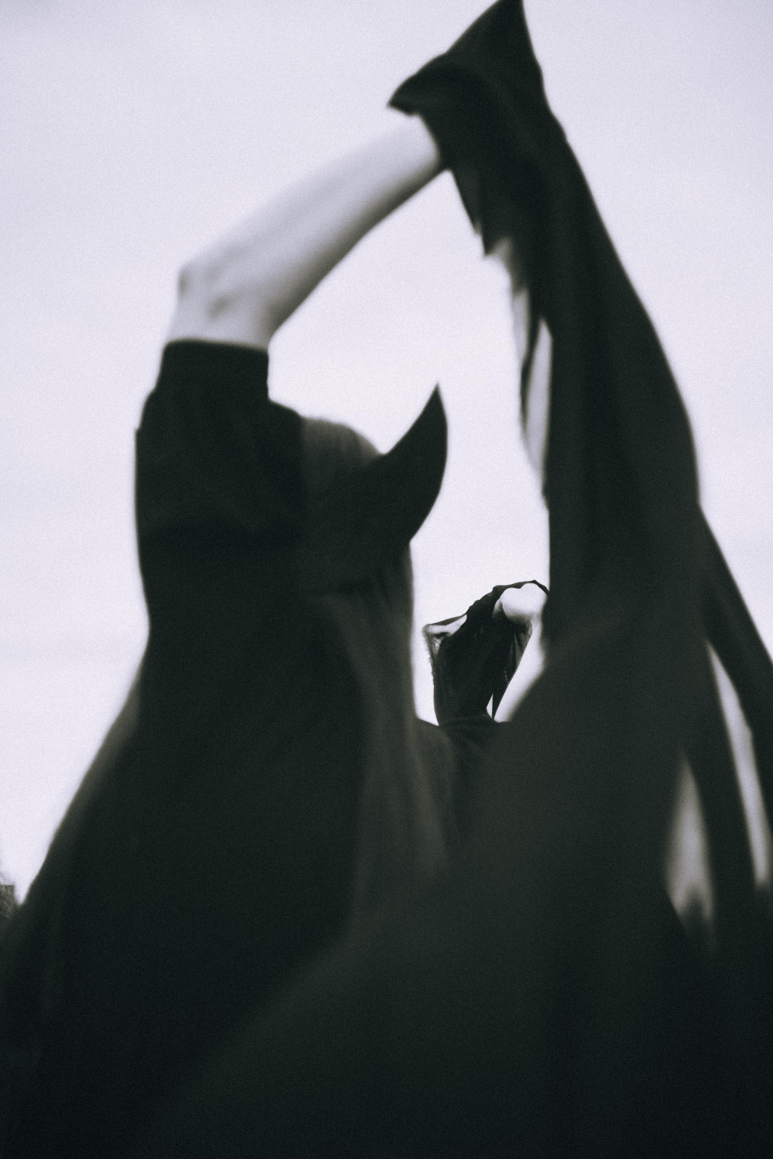 Остановленное стремление. Алиса Аницкая