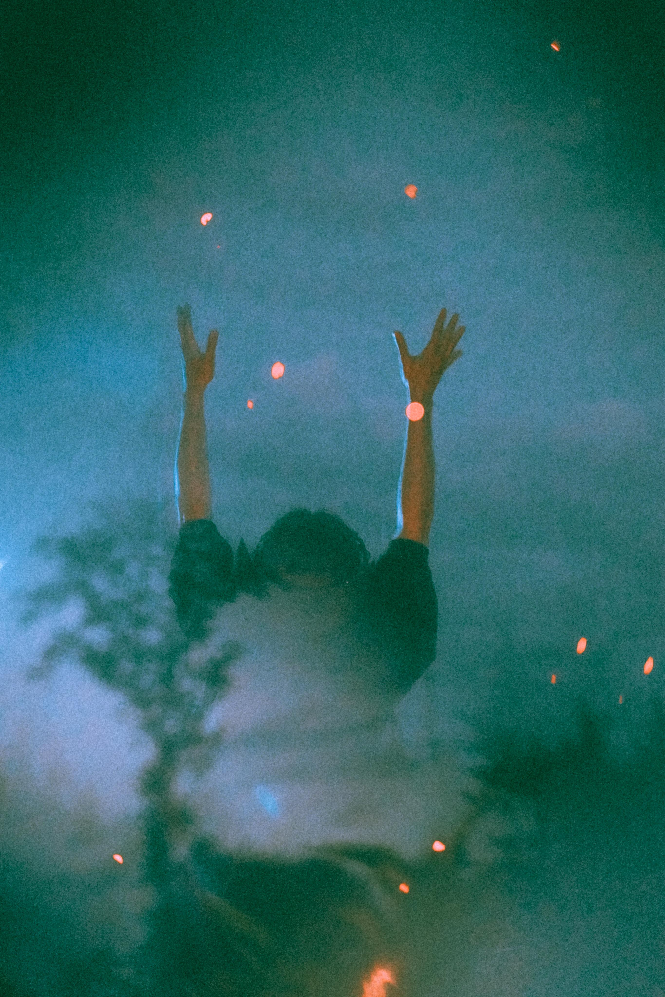 Остановленное стремление. Алиса Аницкая