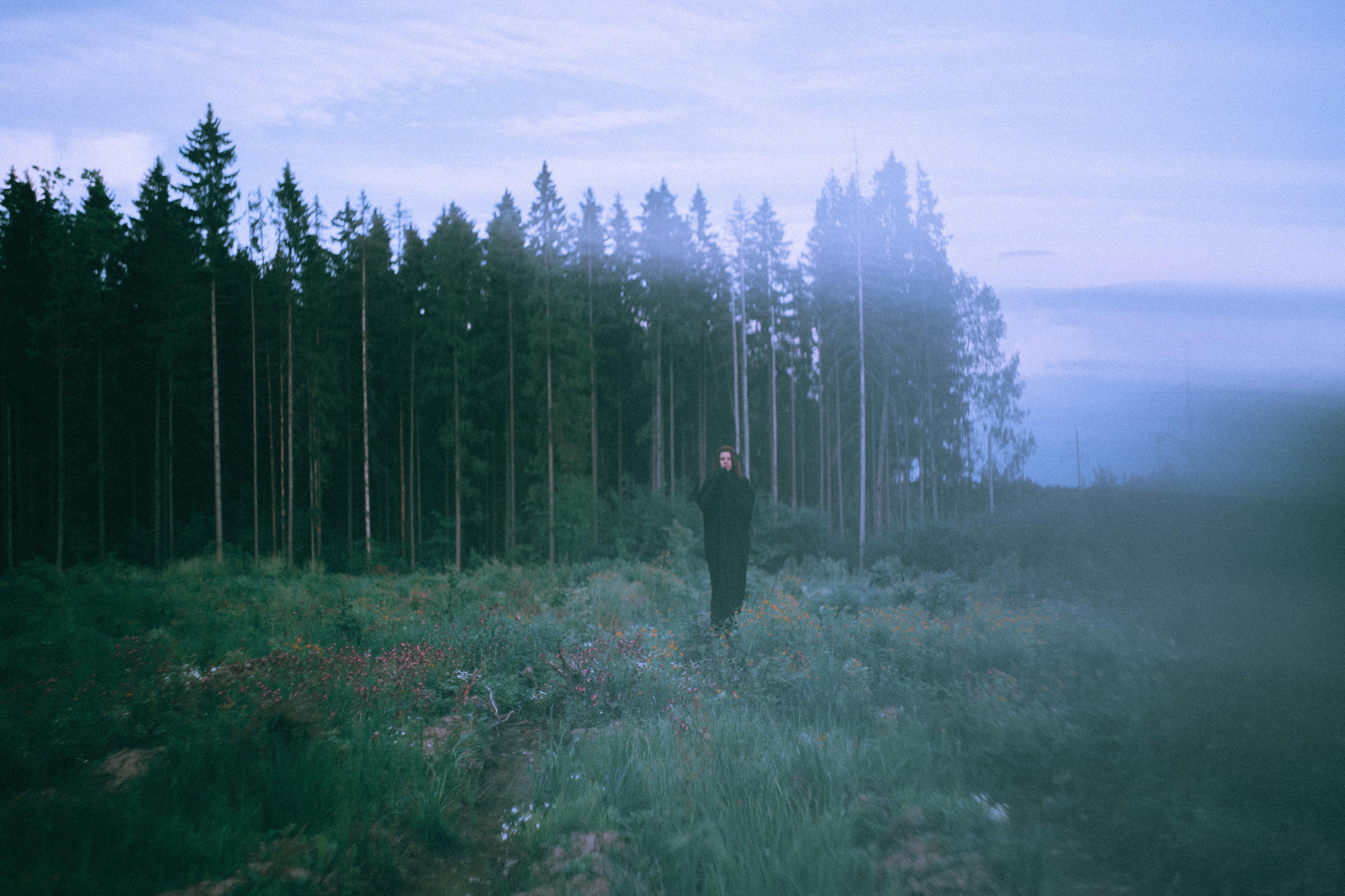 Остановленное стремление. Алиса Аницкая