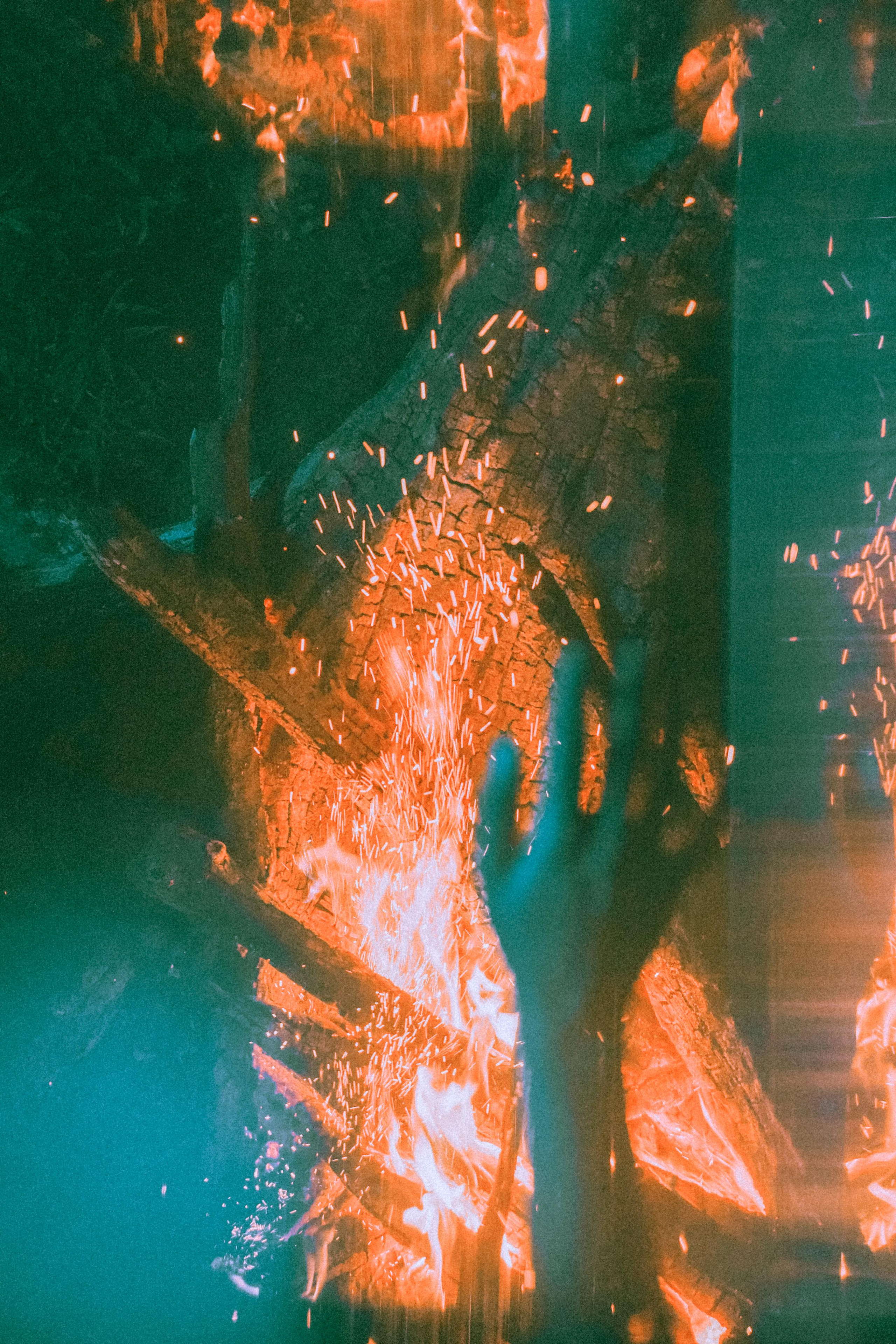 Остановленное стремление. Алиса Аницкая