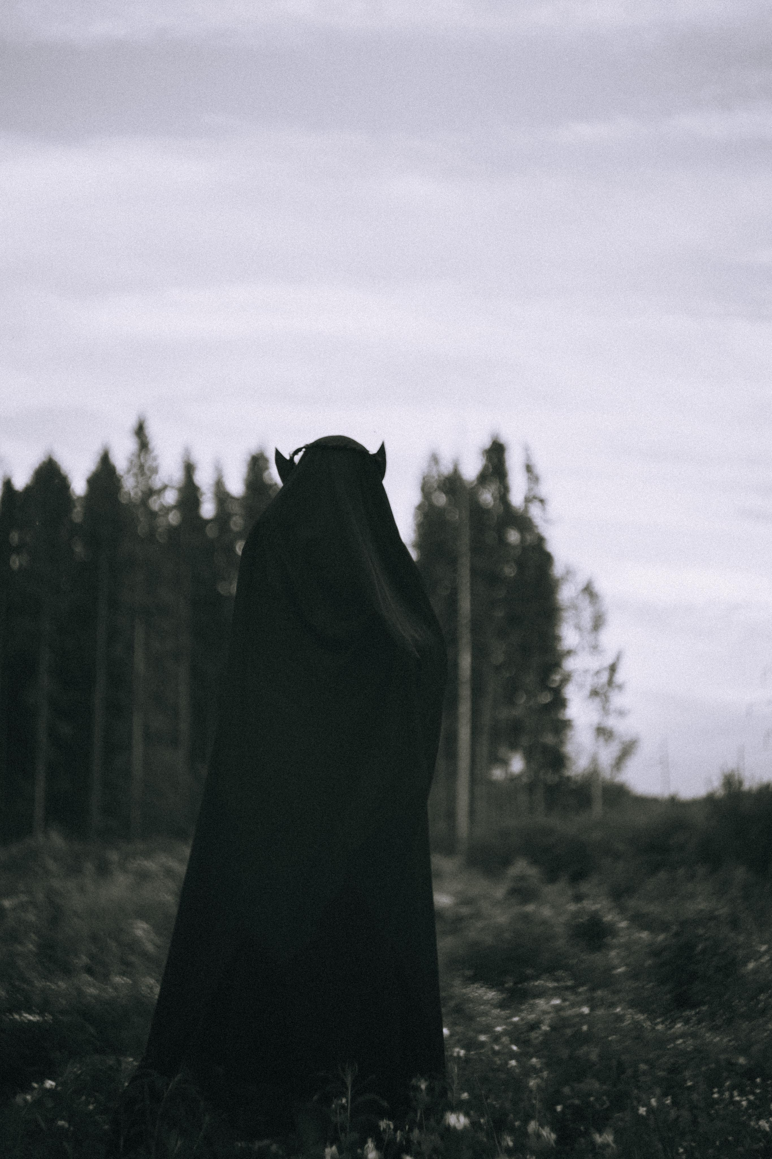 Остановленное стремление. Алиса Аницкая