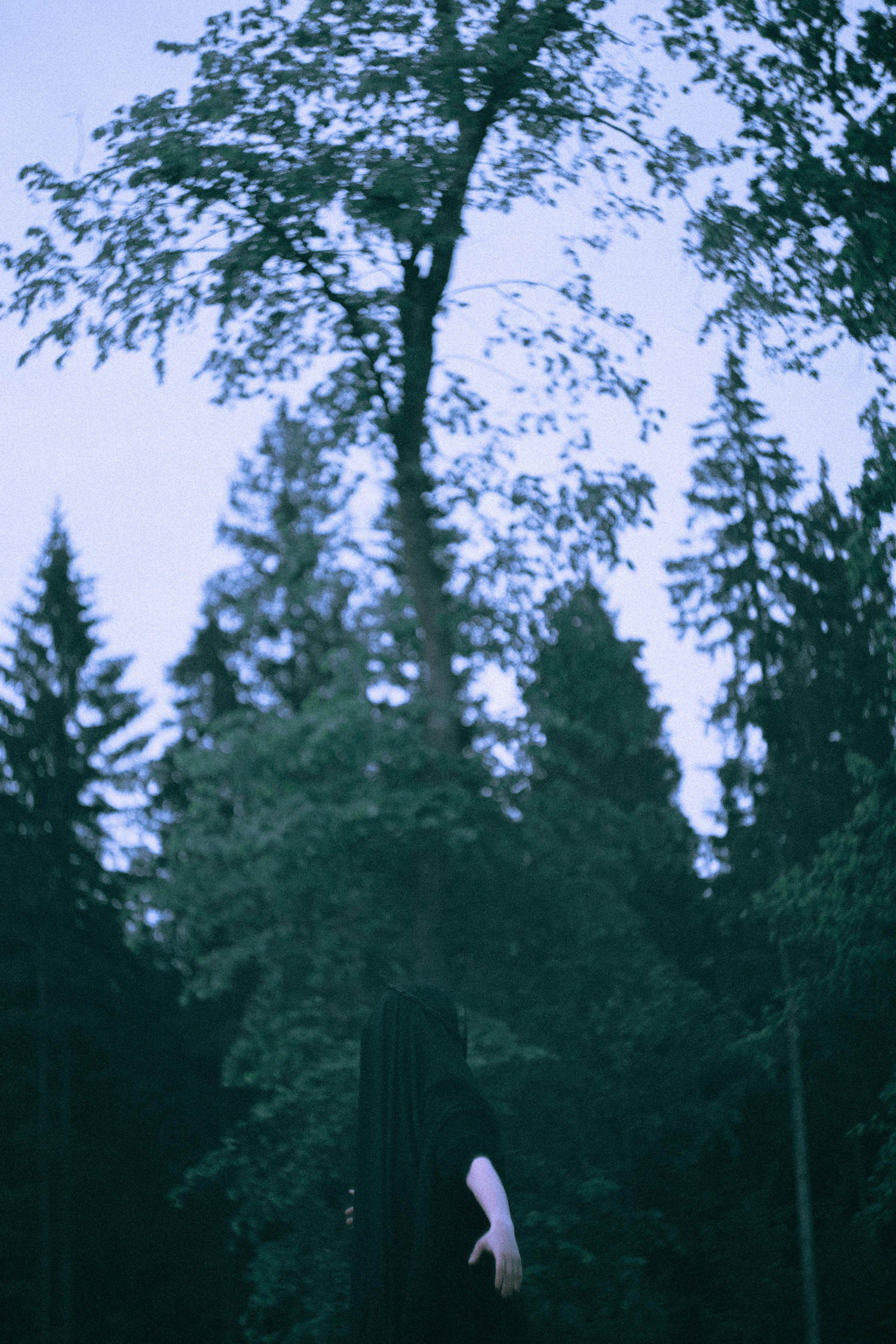 Остановленное стремление. Алиса Аницкая