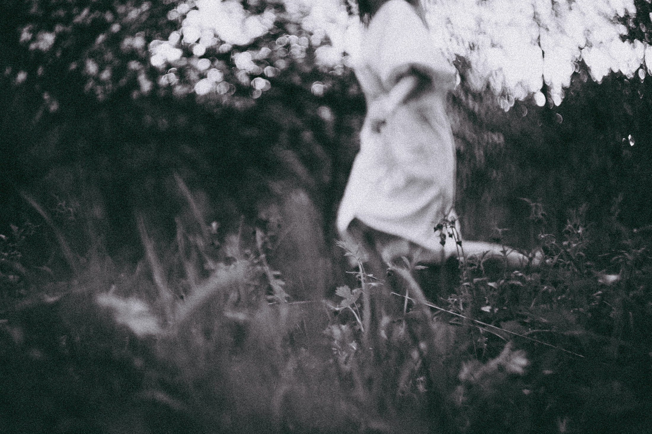 Яблони в весне. Алиса Аницкая