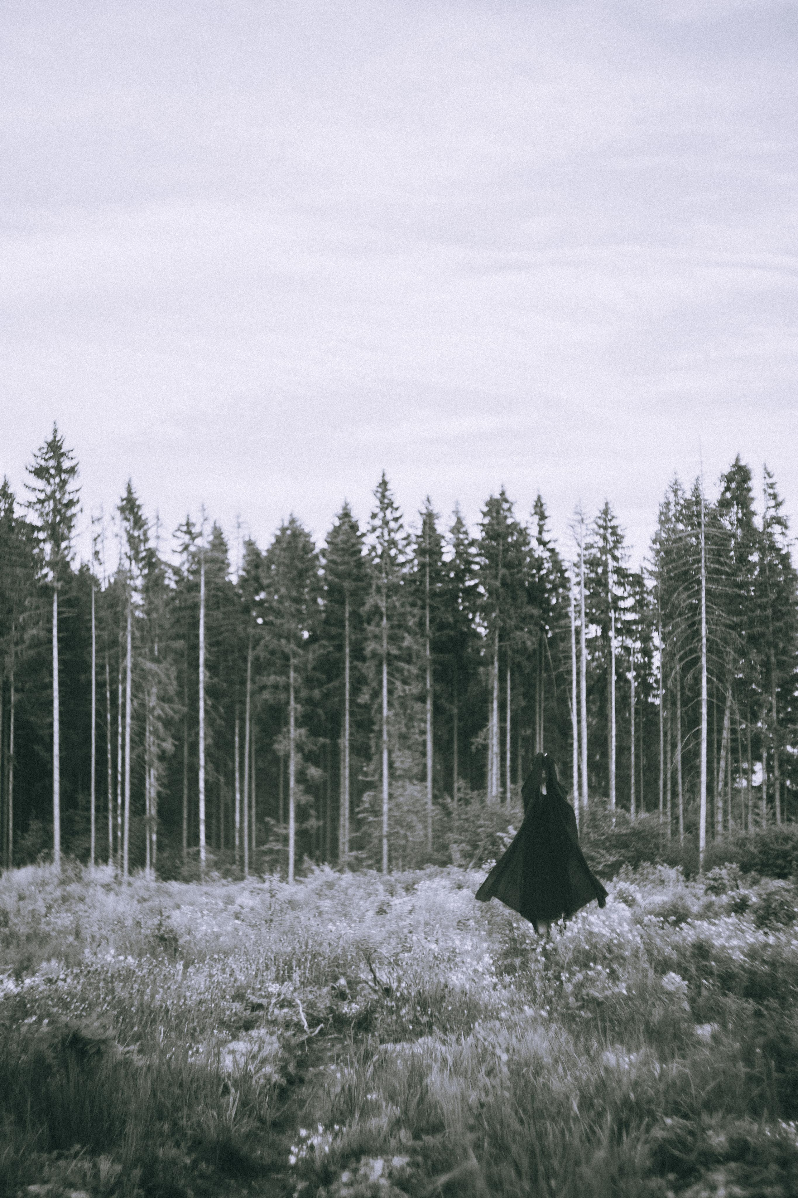 Остановленное стремление. Алиса Аницкая