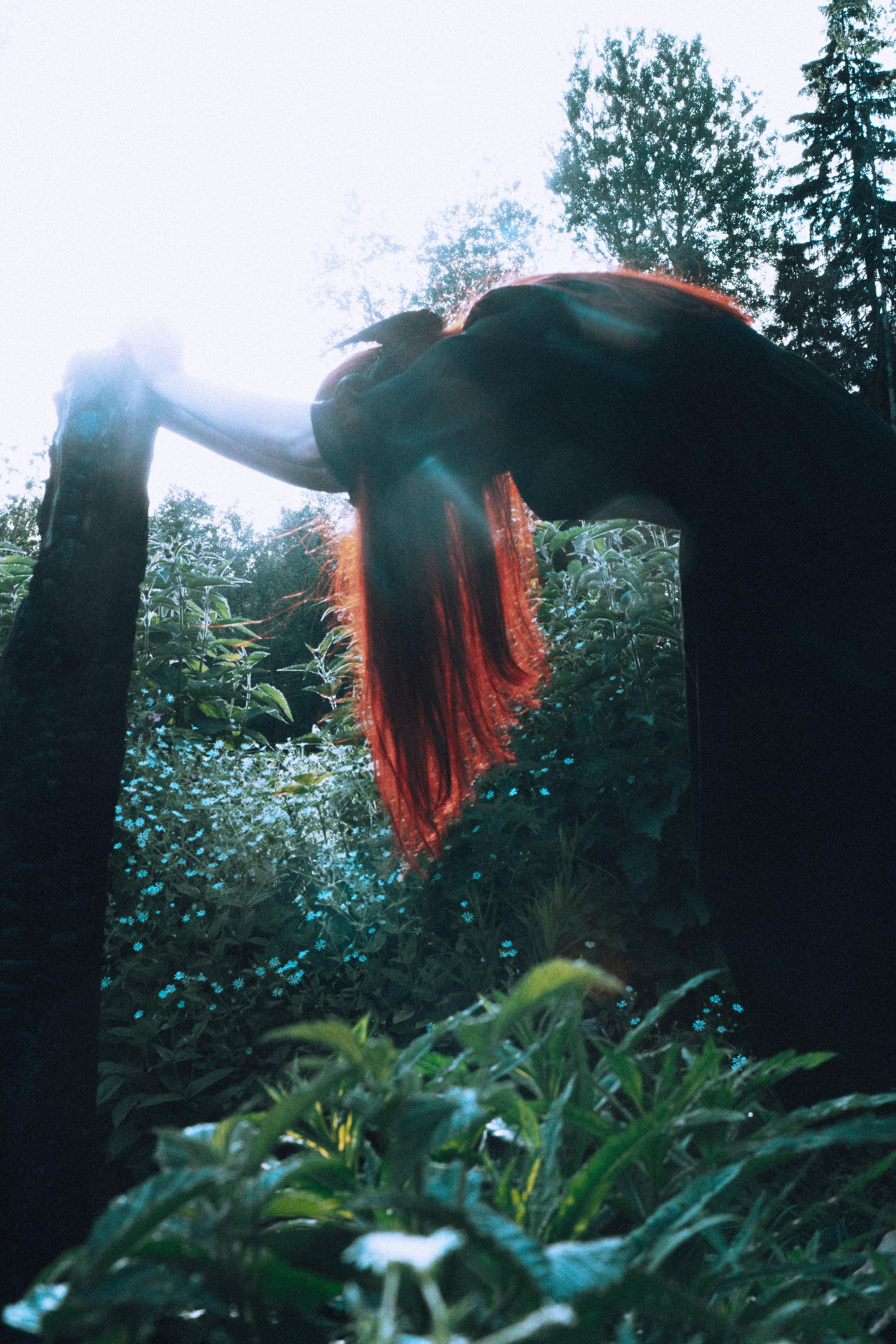 Остановленное стремление. Алиса Аницкая