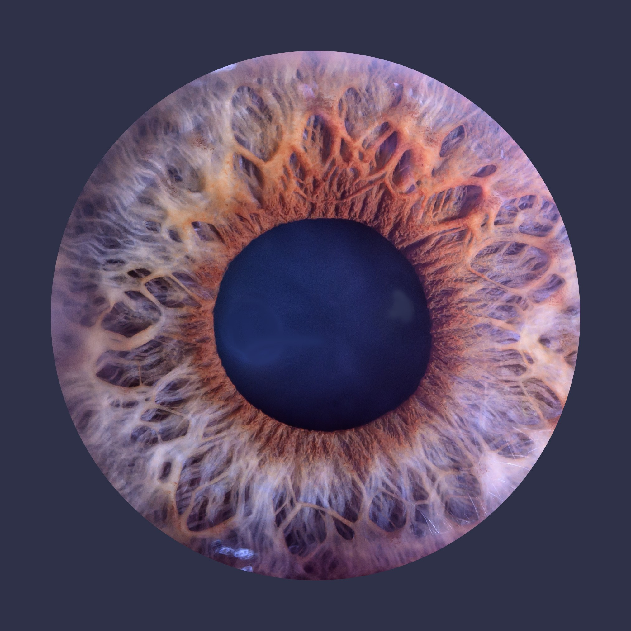 Лучшая фотография радужки глаза в Ростове. Профессиональная фотосъемка. Ростов-на-Дону