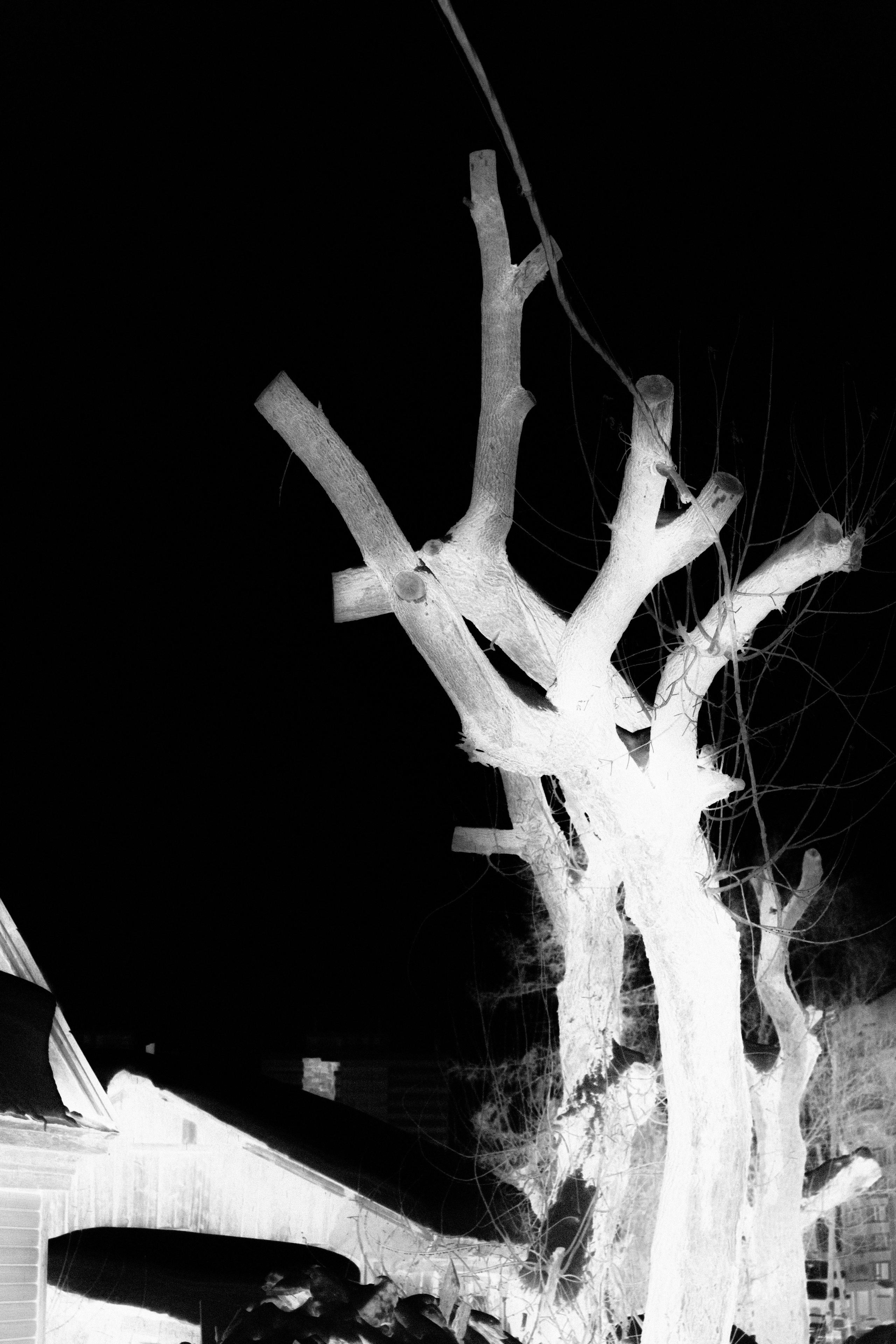 Через Черем. Veronika Popadeikina Photographer