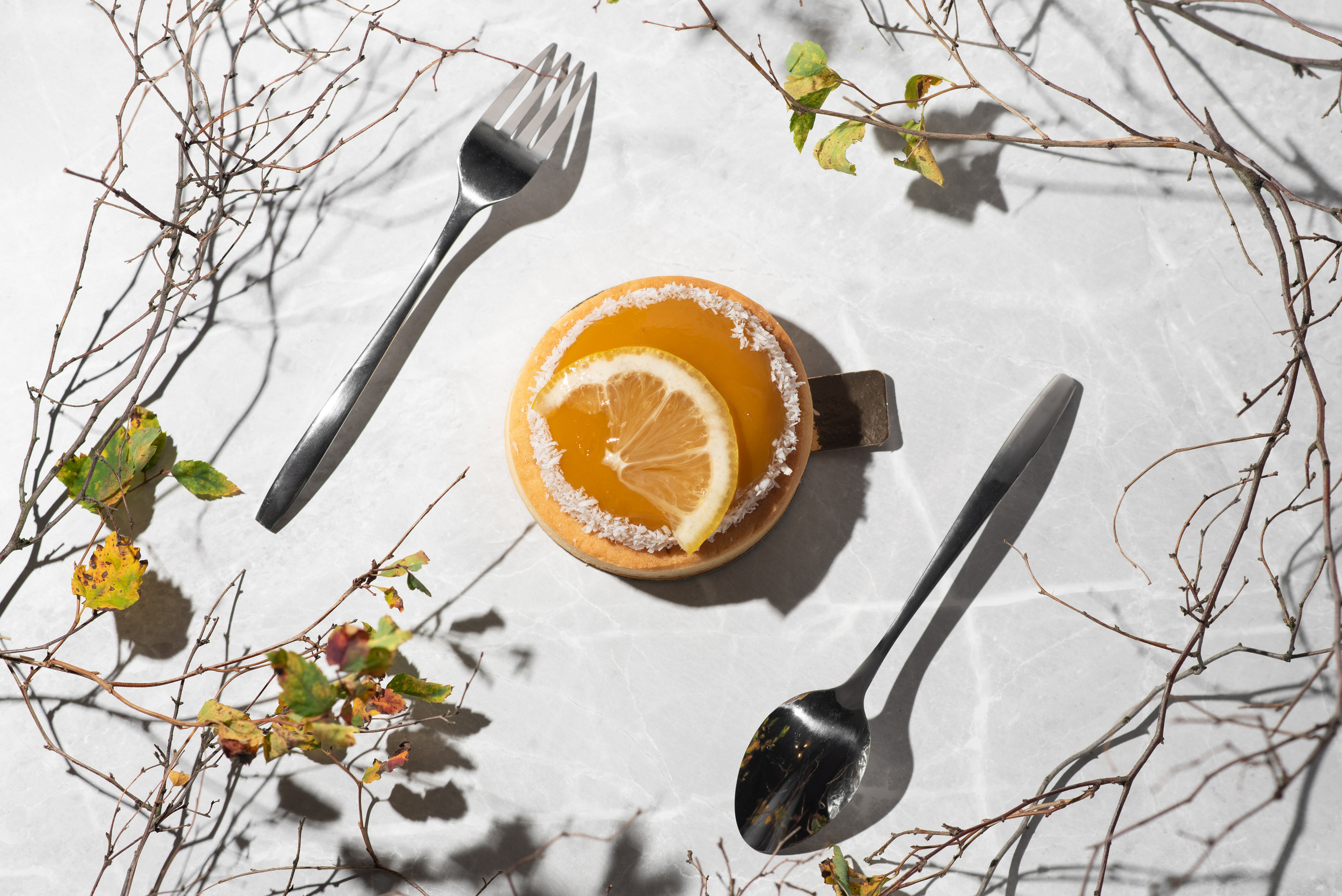 Фотографии блюд в ресторанах и кафе. Фотограф в Москве Дмитровская Дарья