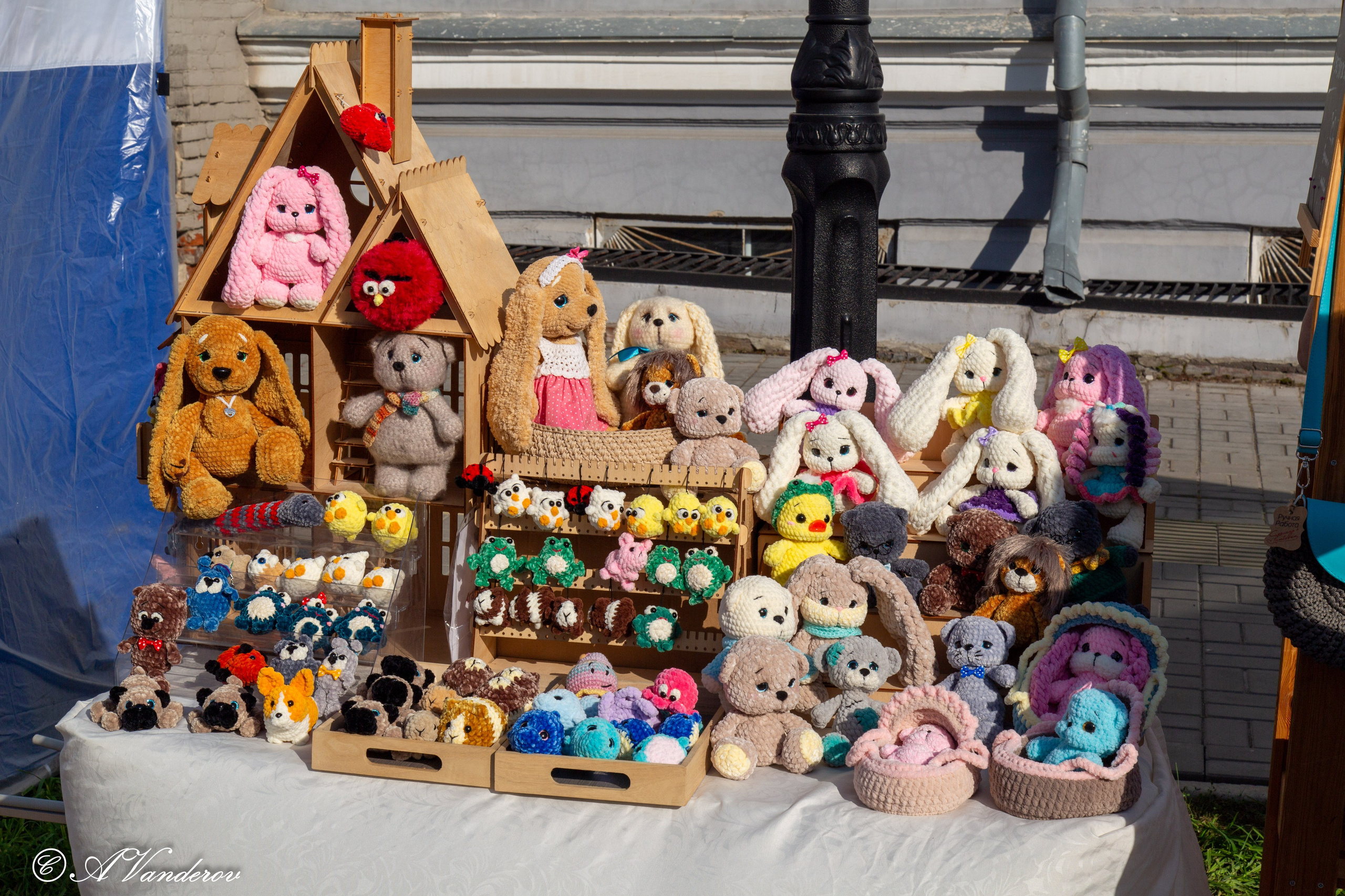 День города 03.08.2024. Фотограф Омск | Александр Вандеров