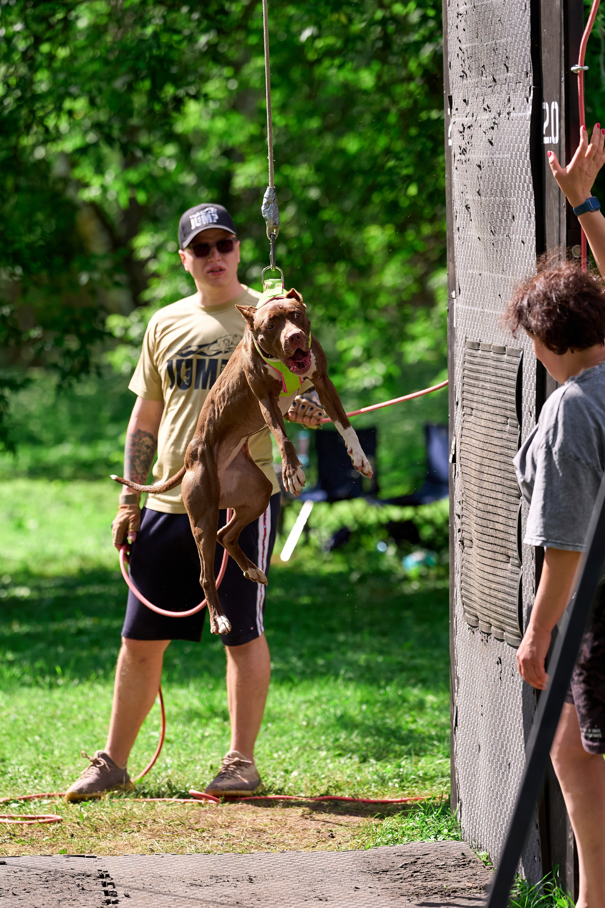 Двухдневные соревнования «Jump'n'Gym Fest — 2024». Фотограф-анималист Михаил Манухин