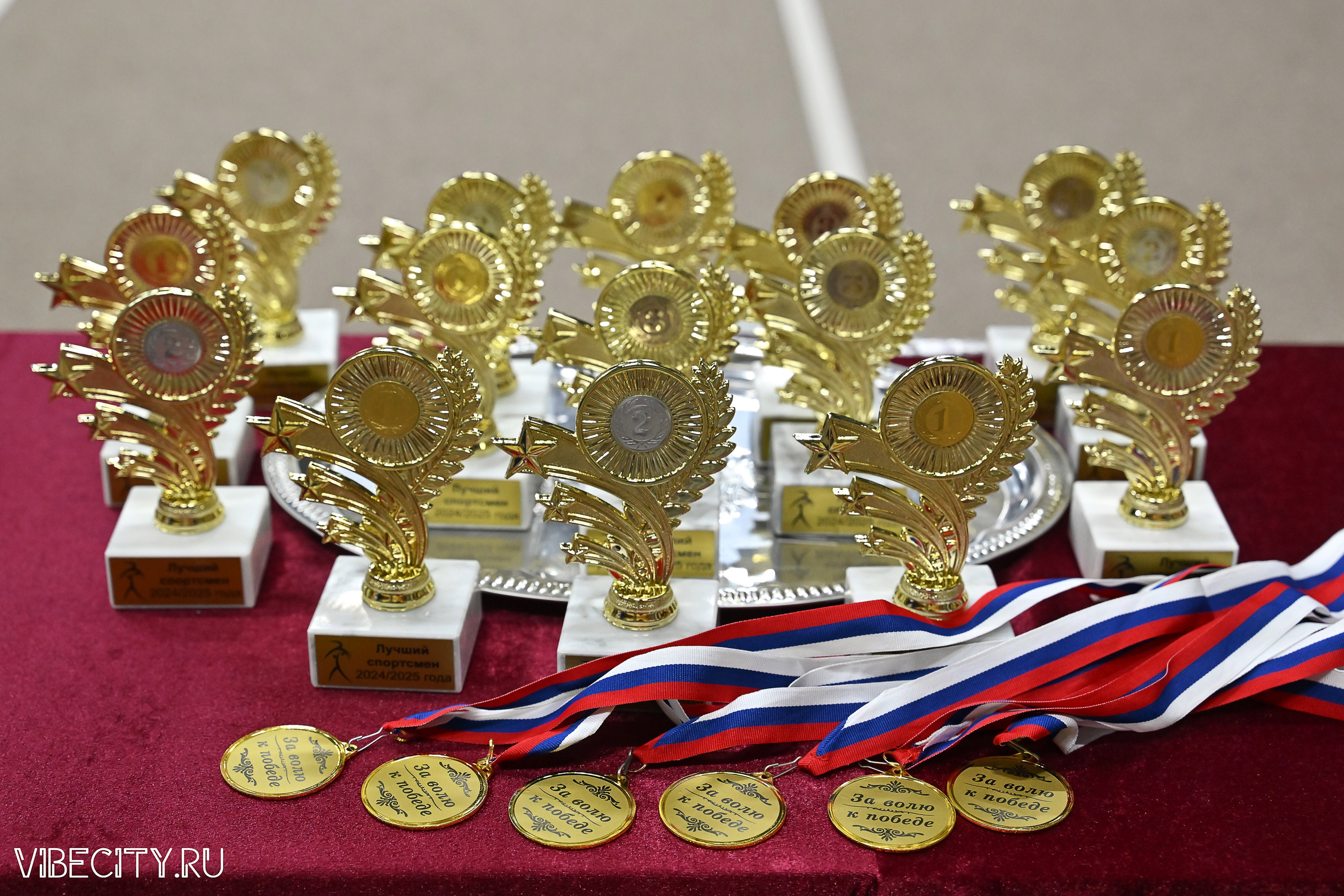 Контрольная тренировка по спортивной гимнастике. VIBECITY.RU Вайб Сити Ру Фоторепортажи Фотоотчеты Калининград