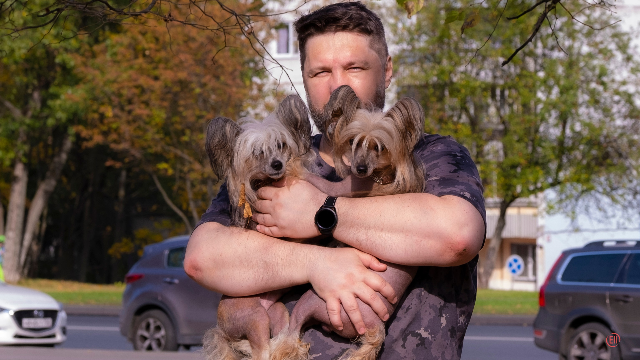 On a walk. Chinese Crested Dog Kennel Poale Ell