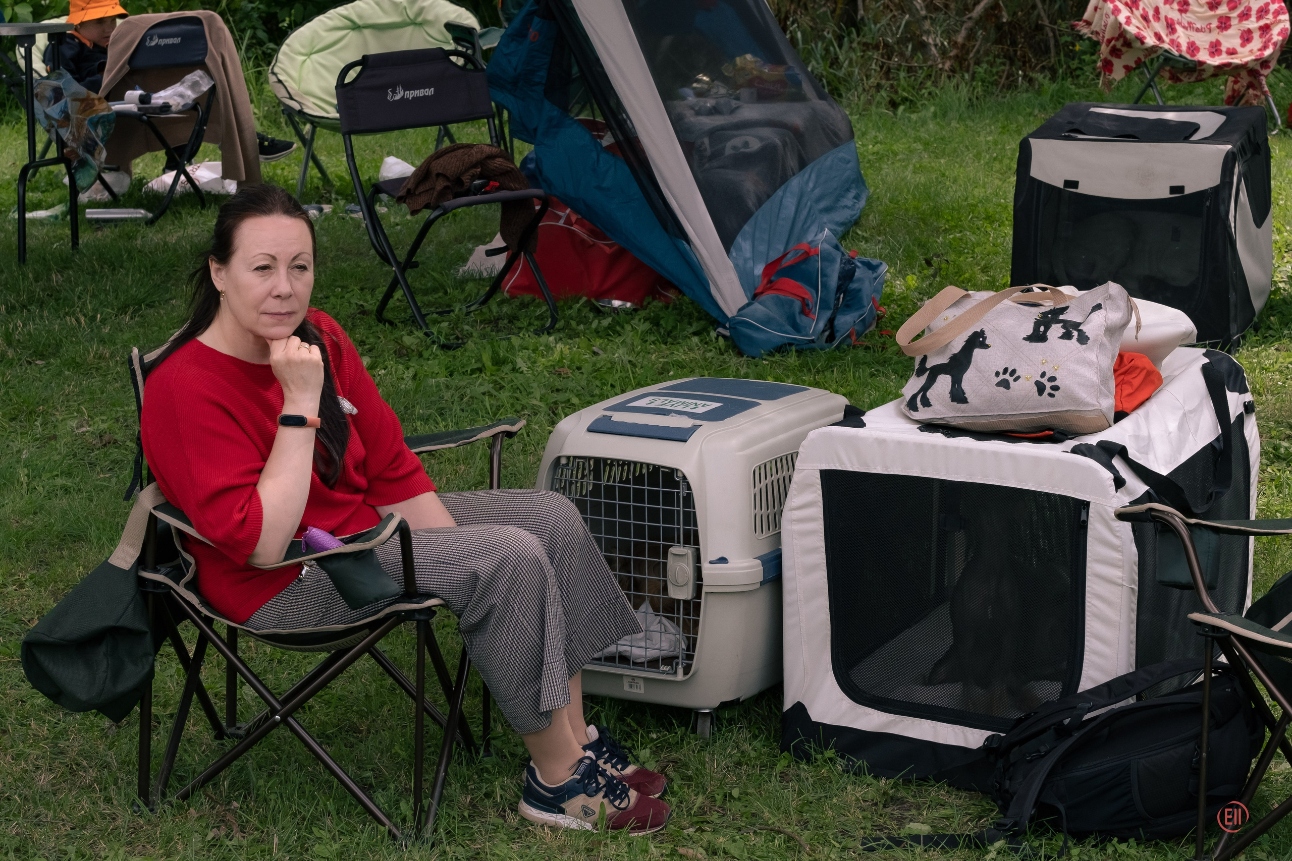 Липецк. Выставка собак. Питомник китайских хохлатых собак Poale Ell: купить щенка
